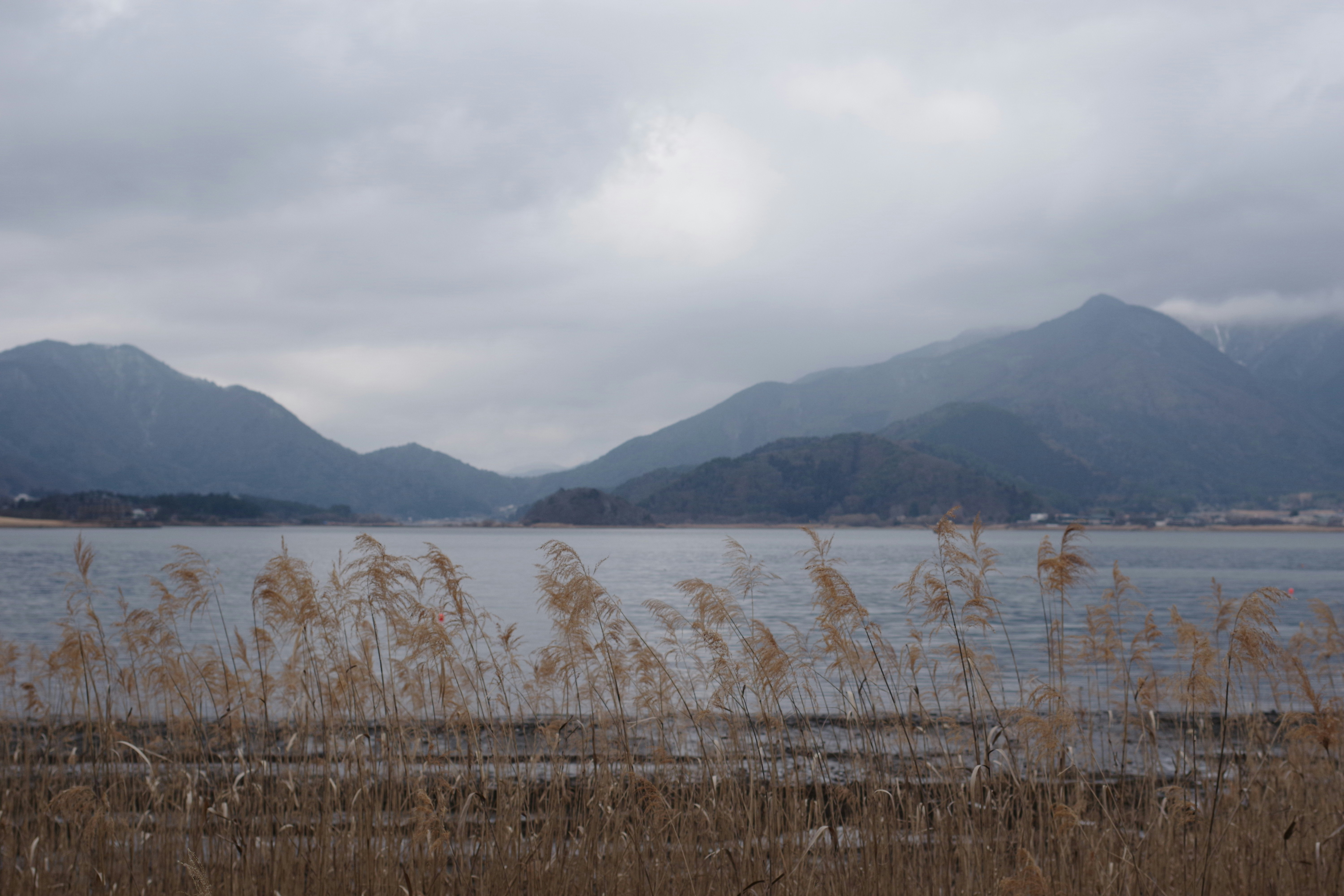 Paisaje de lago tranquilo y montañas con cielo nublado y silueta de hierba