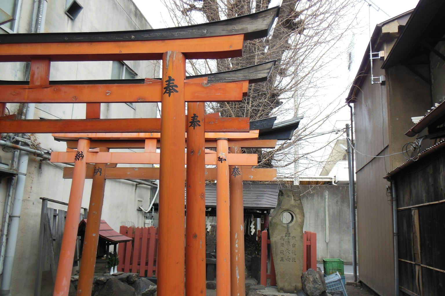 Cổng torii đỏ của ngôi đền cũ với các tòa nhà xung quanh