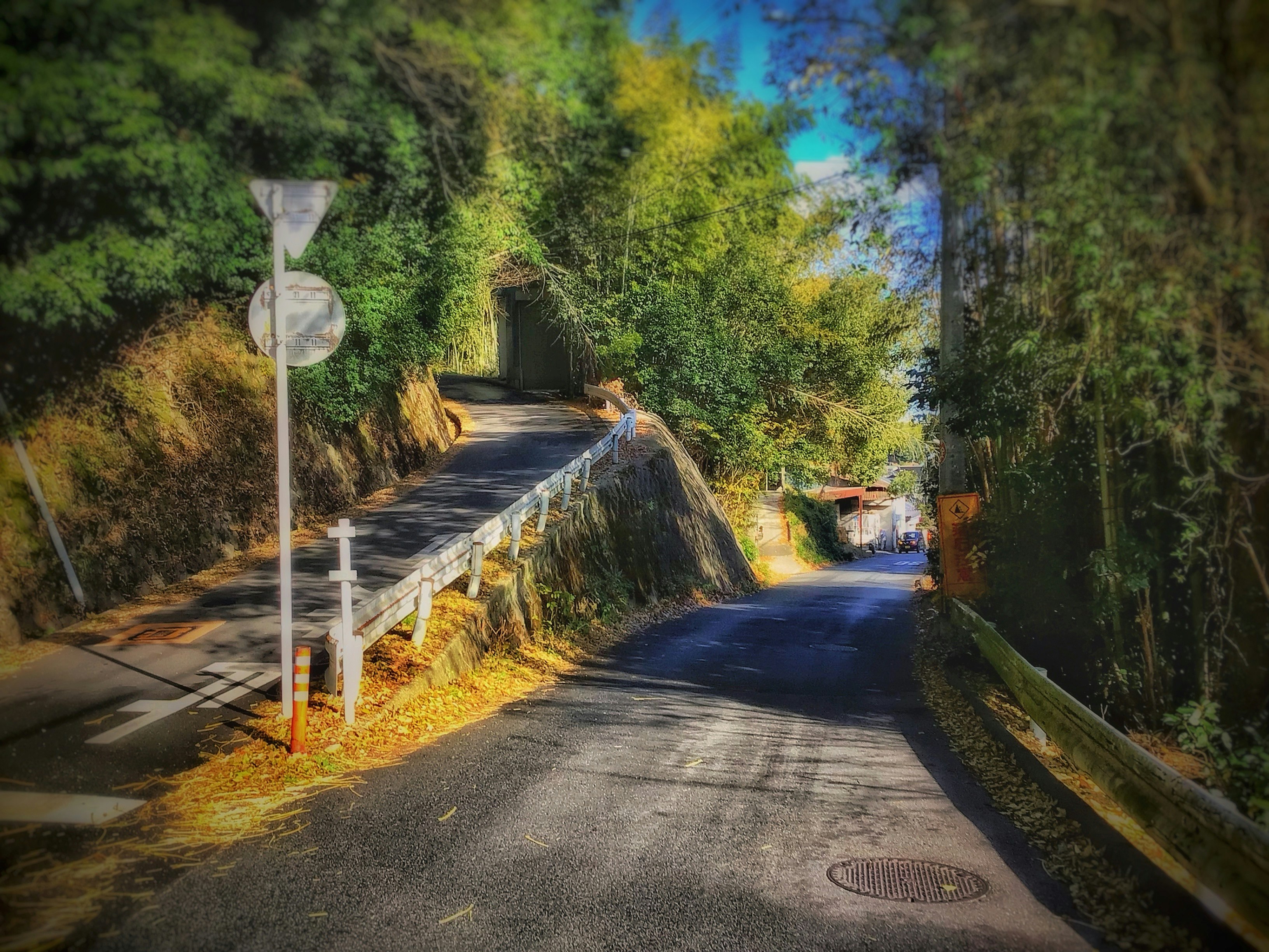 山あいの坂道で分かれる登りと降りの変則路