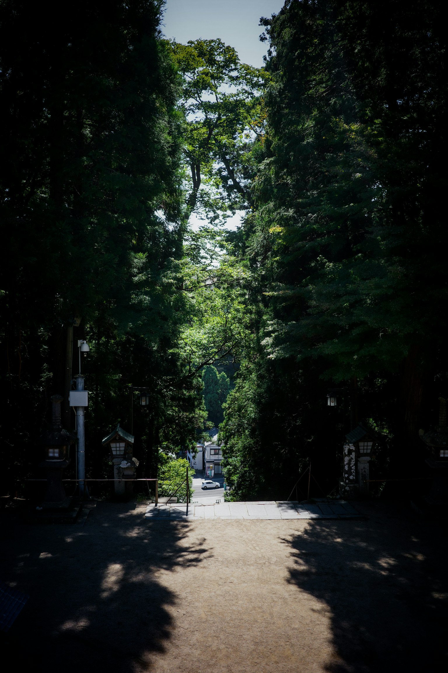 緑豊かな木々に囲まれた道が続いている風景