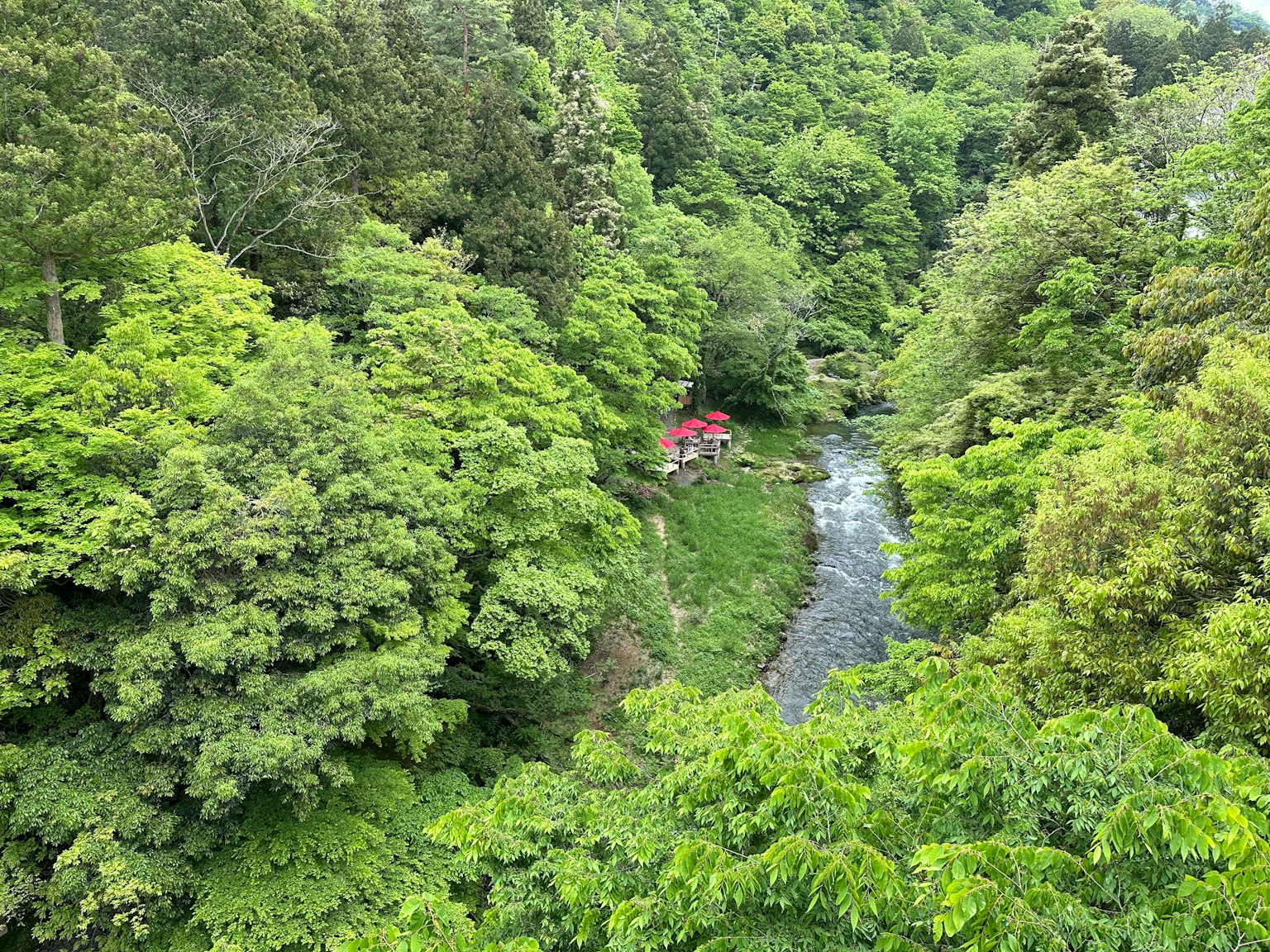 Un petit cabanon rouge à côté d'une rivière sinueuse entourée d'arbres verdoyants