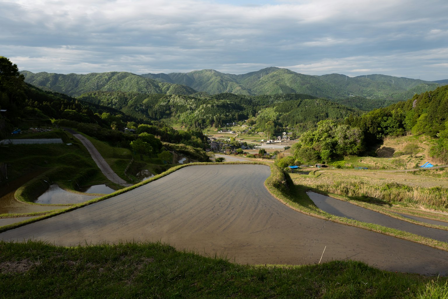 Vue pittoresque de rizières en terrasses et collines verdoyantes