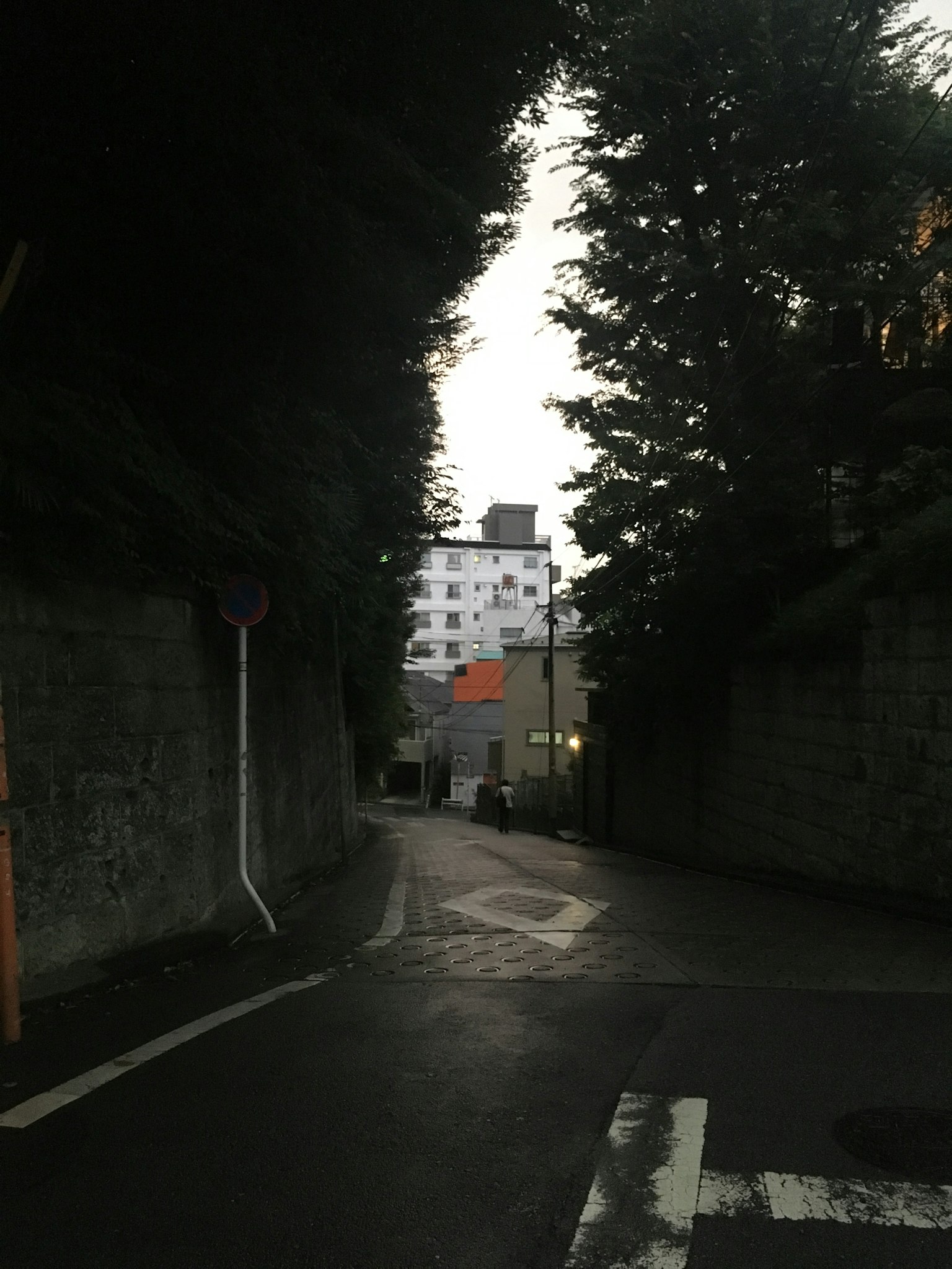 Calle curva en un callejón oscuro enmarcada por altos árboles y edificios