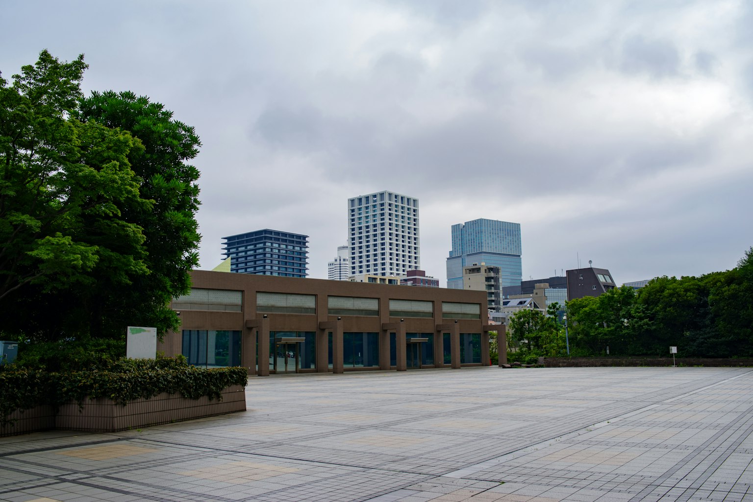 寬敞的廣場和周圍建築以及一棵綠色樹木