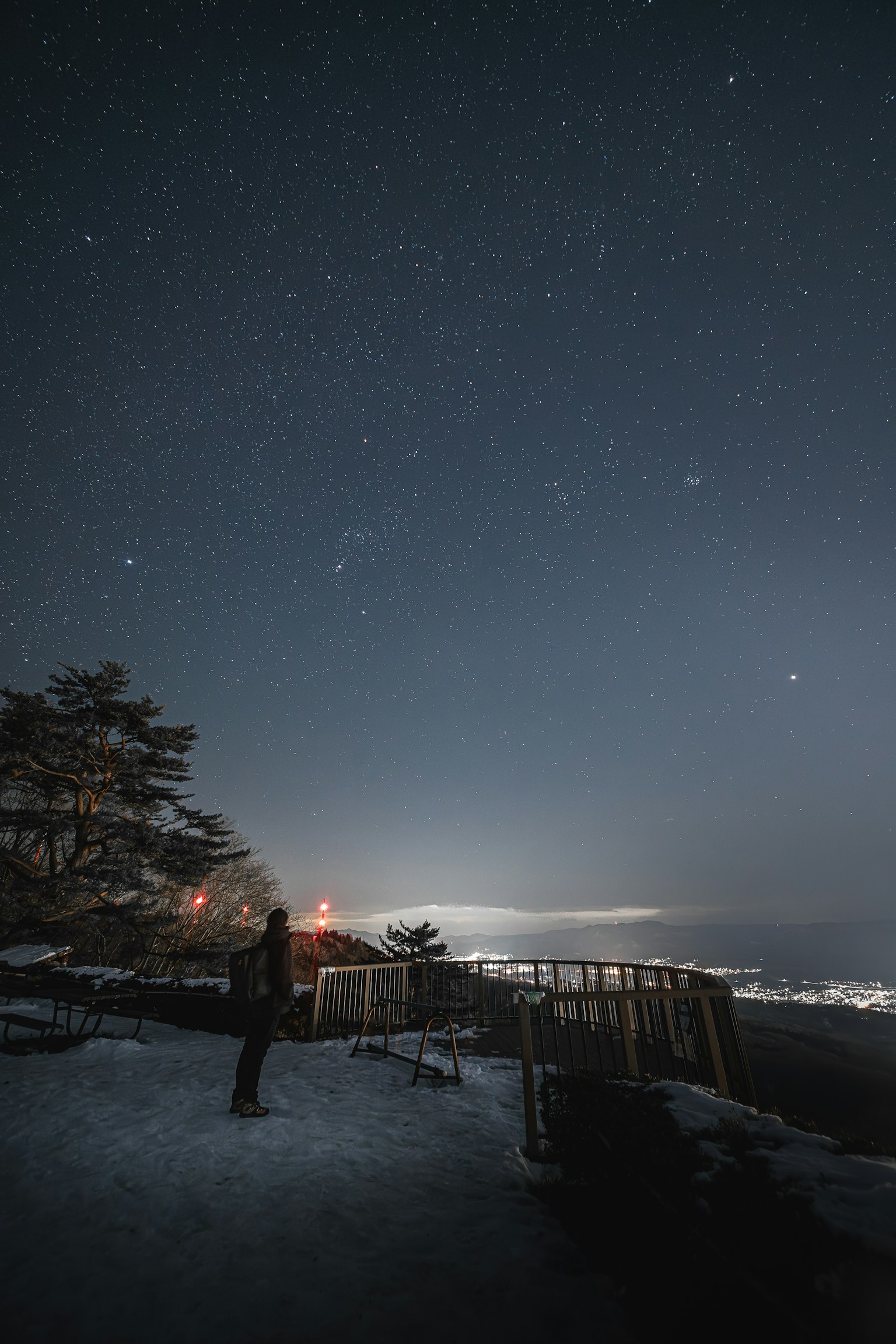 Personne regardant un ciel étoilé sur un paysage enneigé