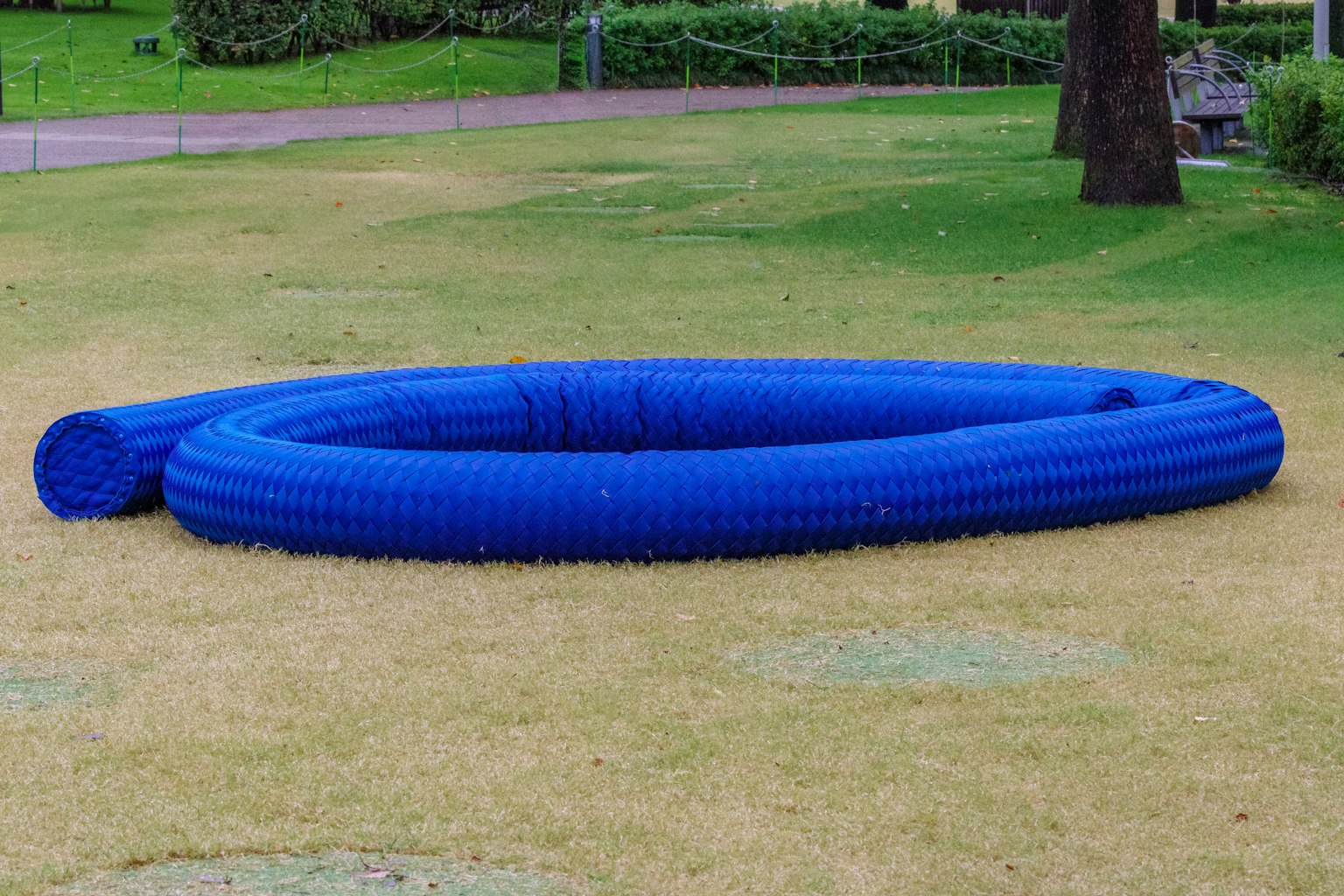 Sebuah objek bulat biru diletakkan di rumput hijau di taman