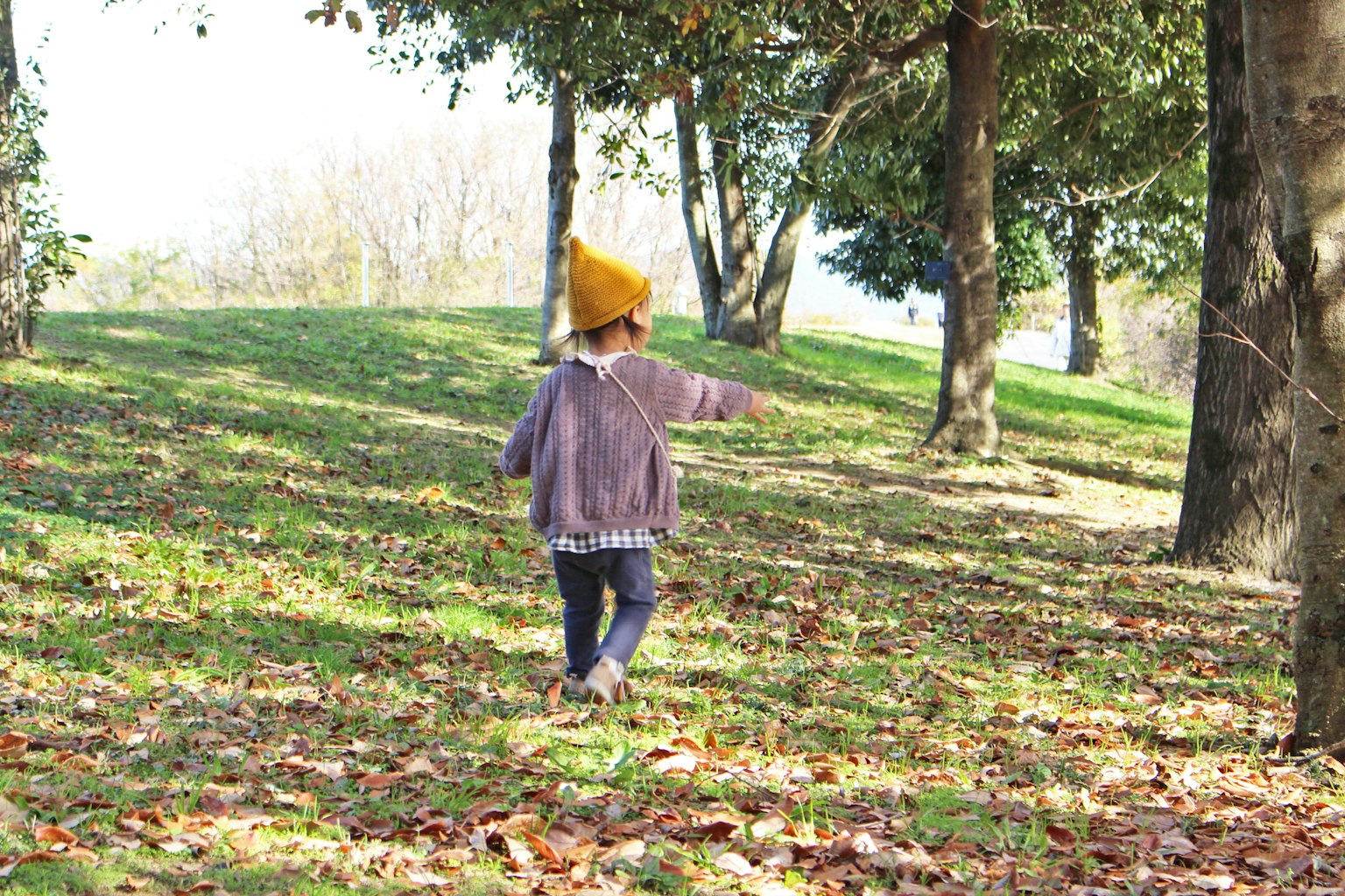 Bambino con un cappello giallo che cammina in un parco tra alberi e foglie cadute