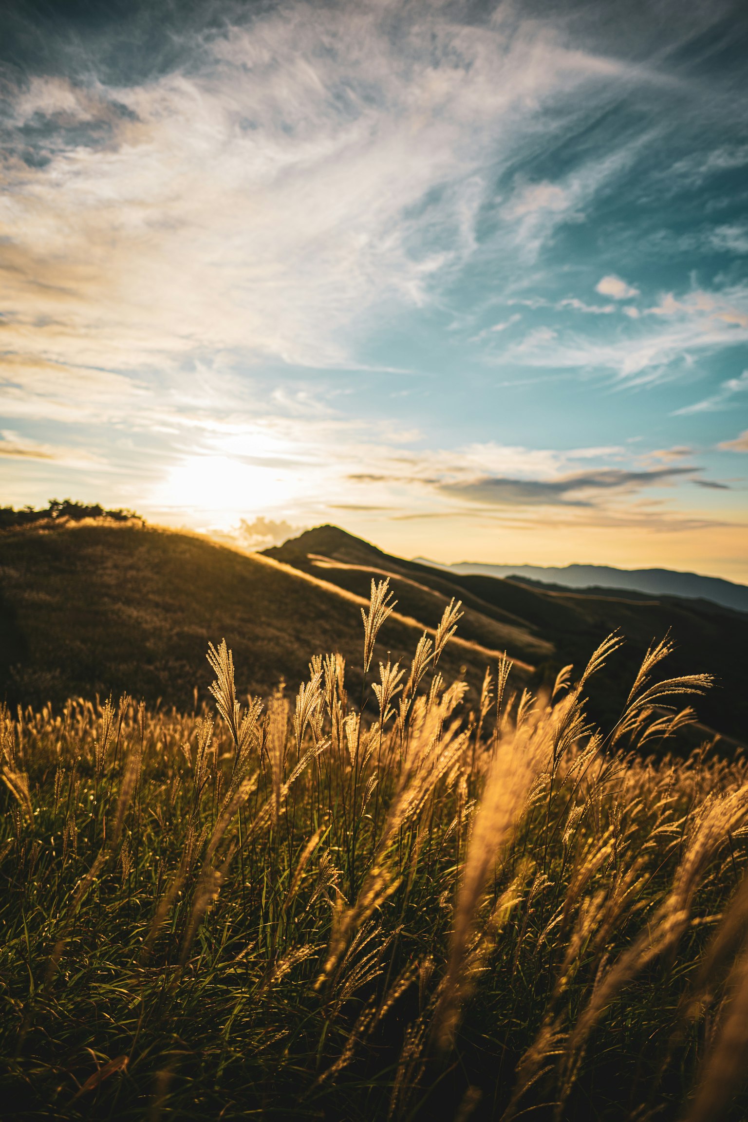 photo-cQVR5AhNGqzcp6wdmNyj-image