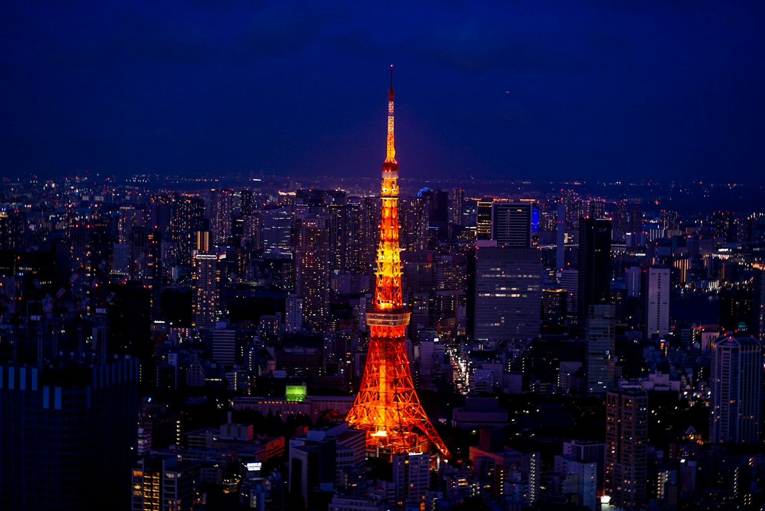 東京塔在夜晚照亮城市天際線