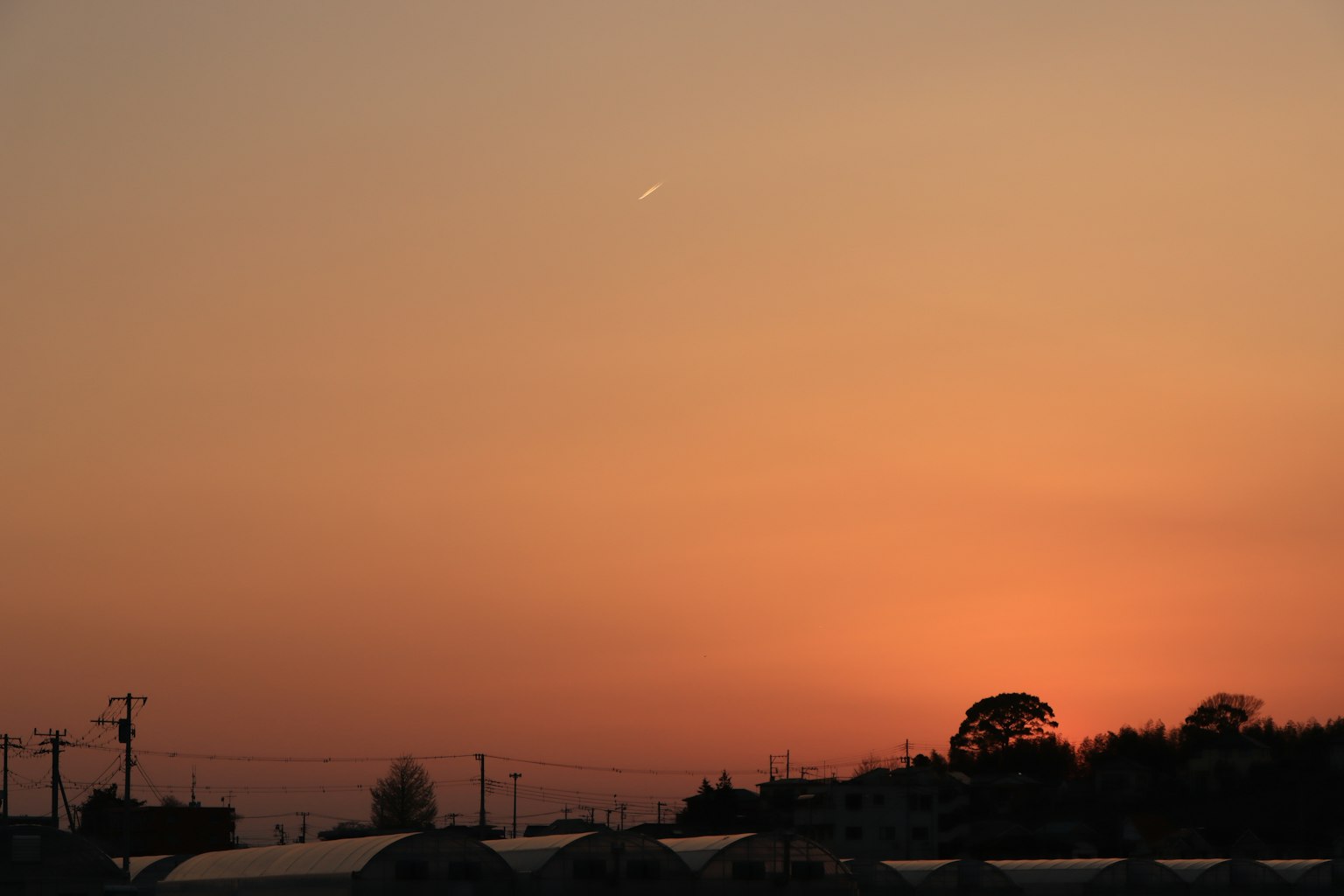 夕焼けの空とシルエットの木々が見える風景