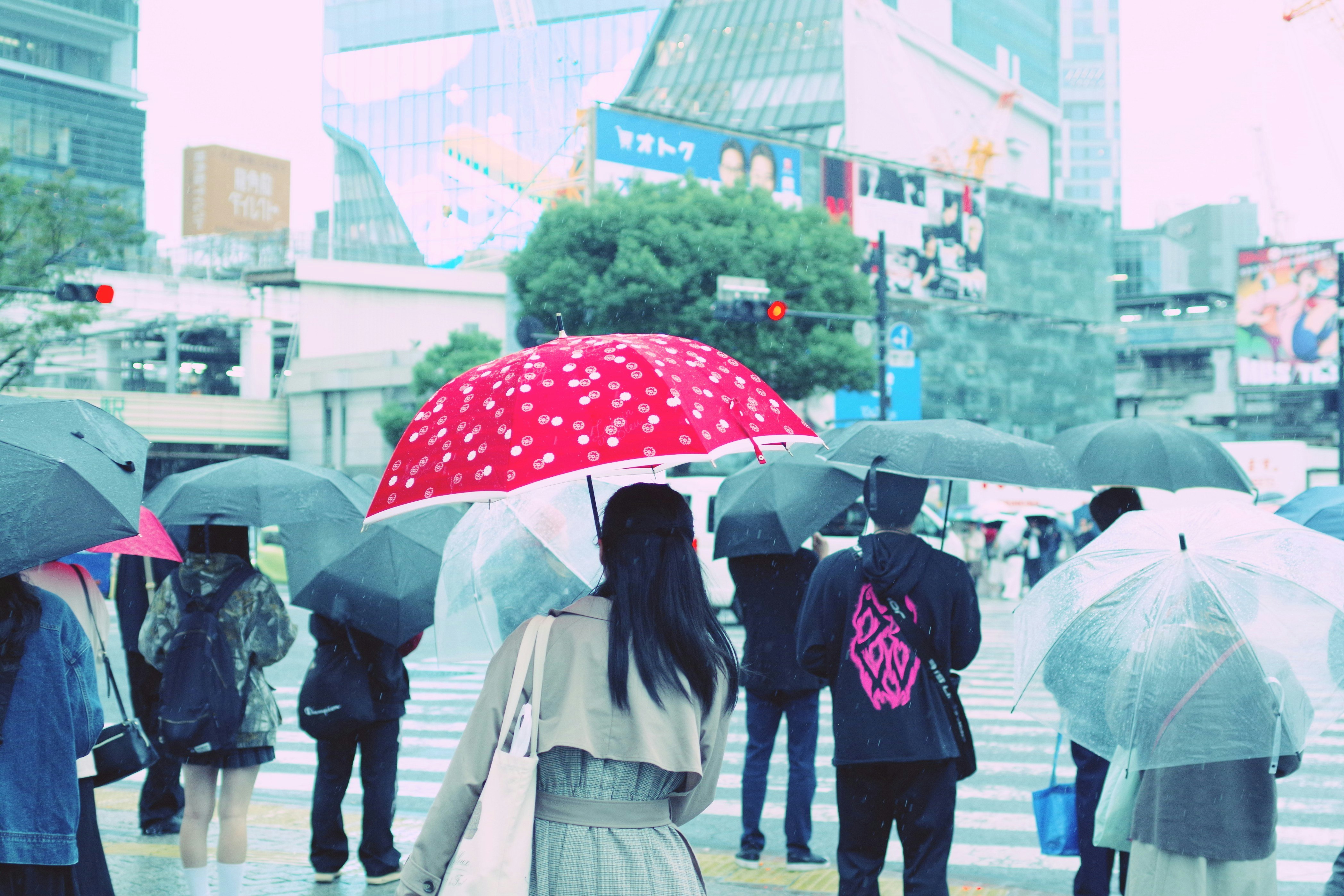 雨の渋谷スクランブル交差点で傘をさす人々の群れ