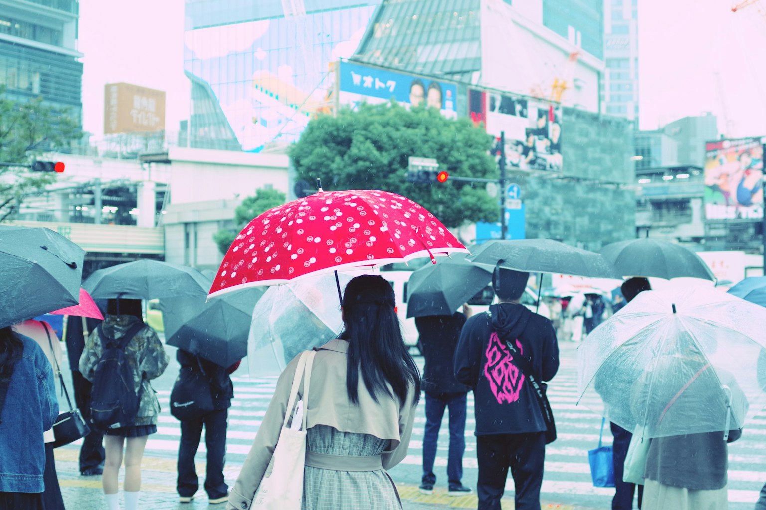 People waiting at a crosswalk in the rain holding umbrellas a striking red umbrella stands out