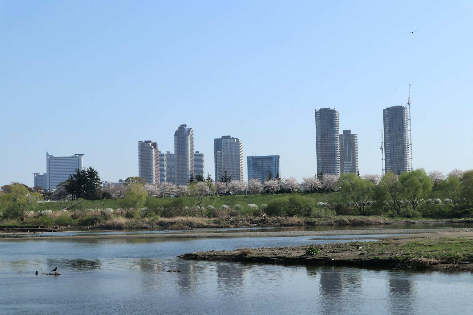 Skyline di alti edifici che si riflettono sull'acqua sotto un cielo blu chiaro