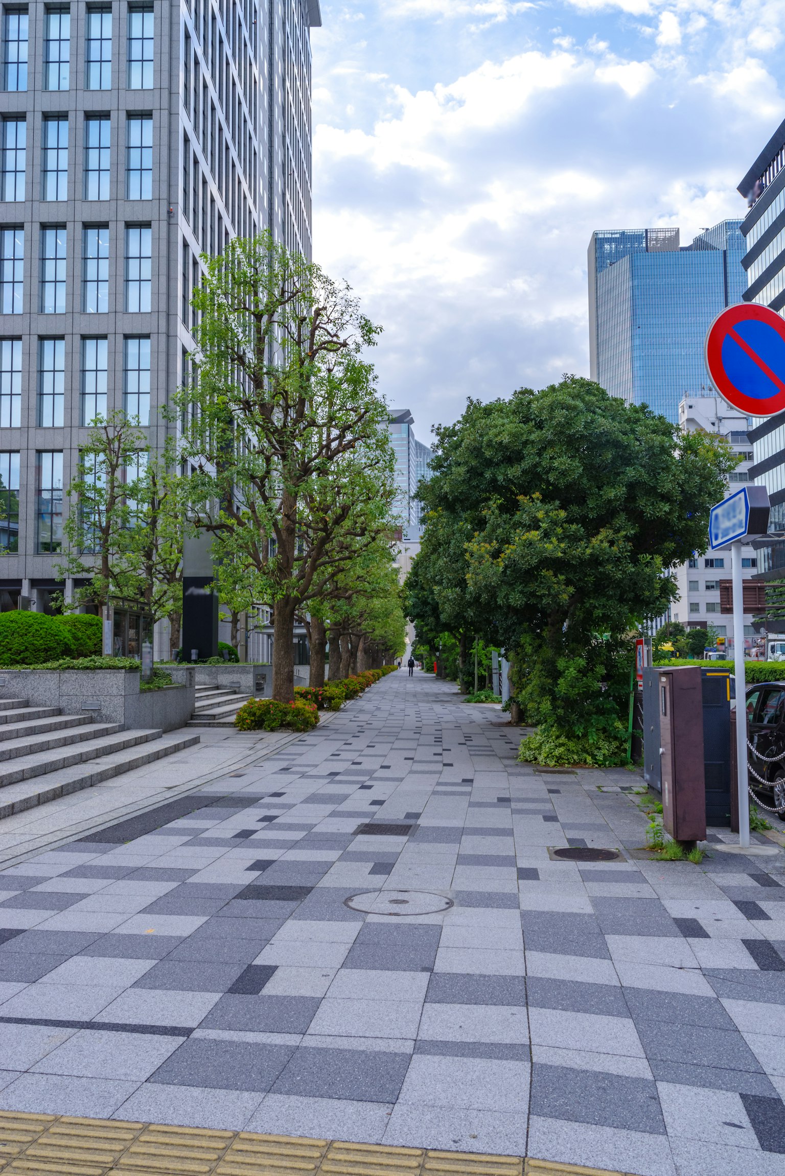 Jalan kota dengan vegetasi dan bangunan modern
