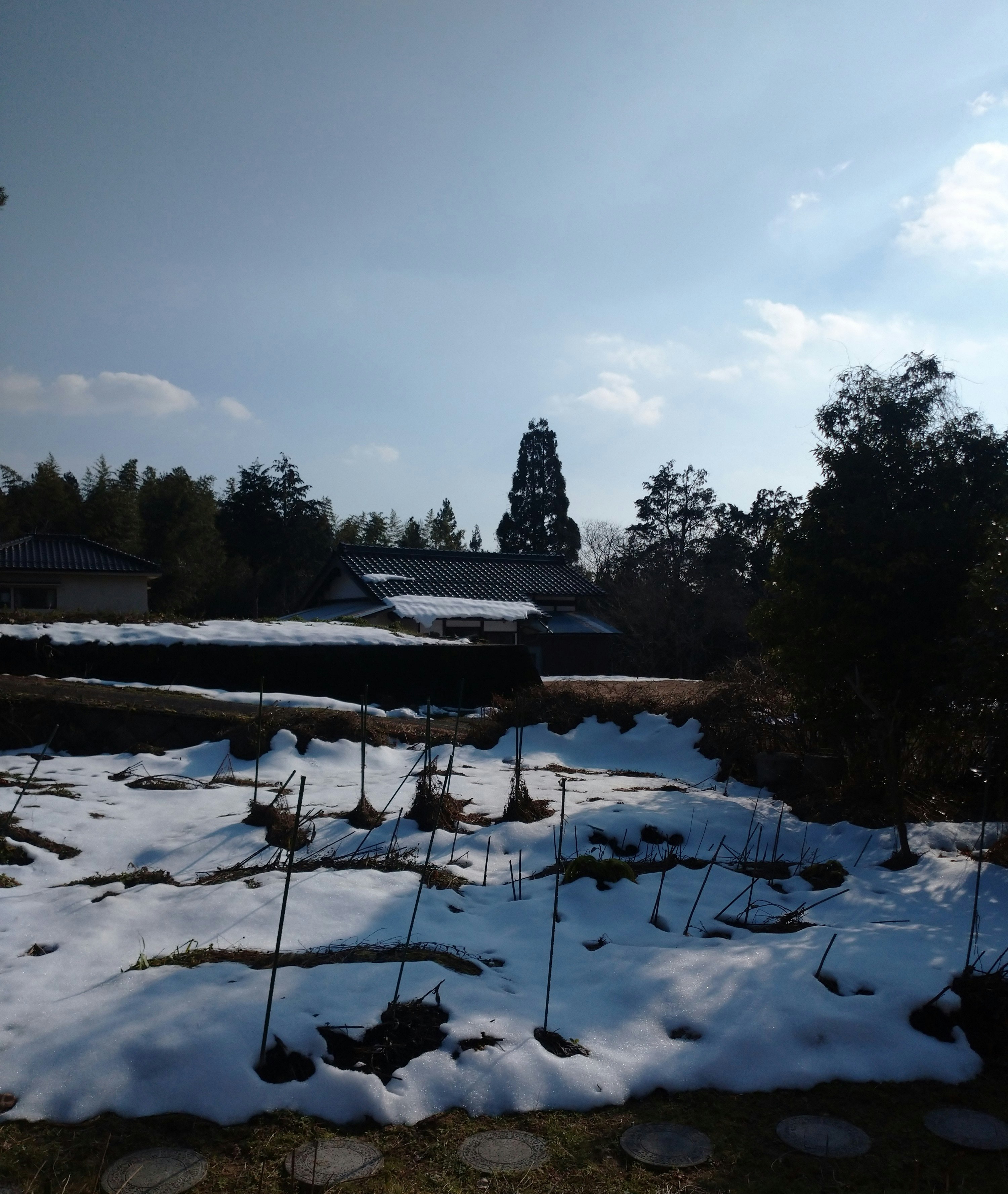 雪の積もった庭と屋根のある寺院風の建物