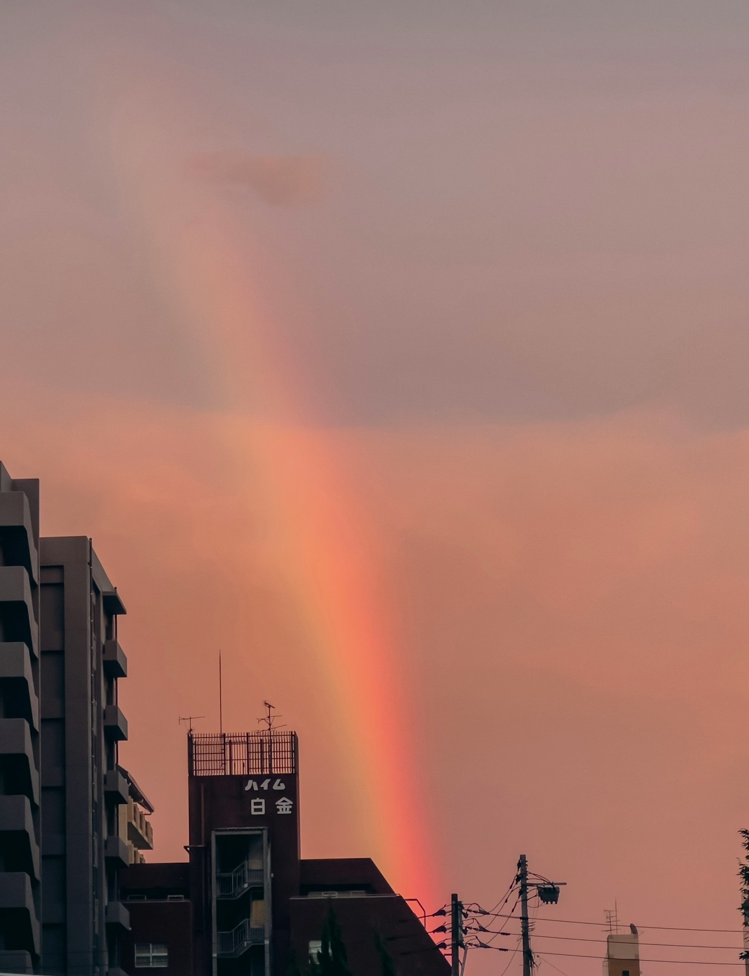 夕陽下城市建築上的彩虹