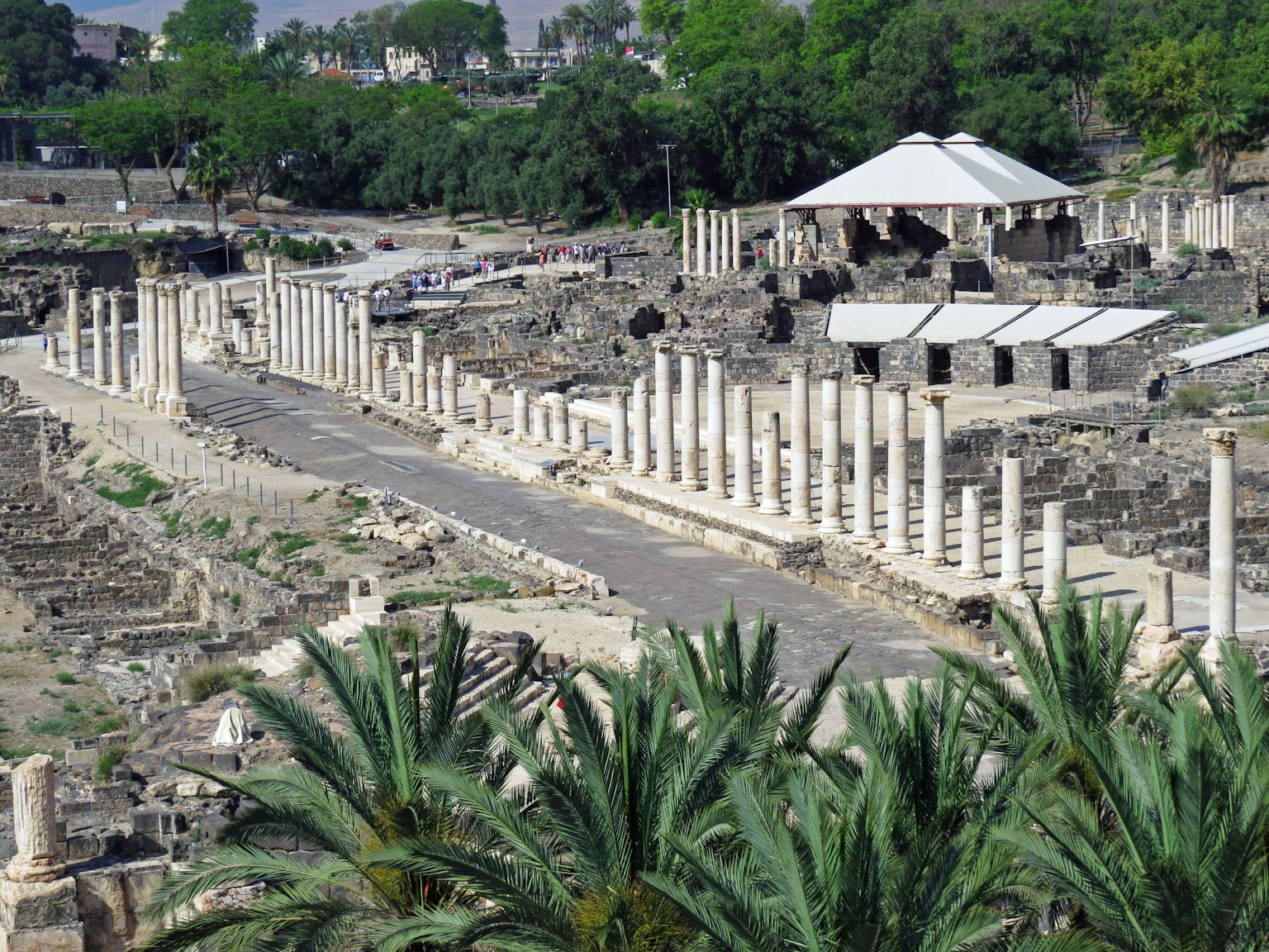 Ruinas antiguas con columnas y vegetación exuberante