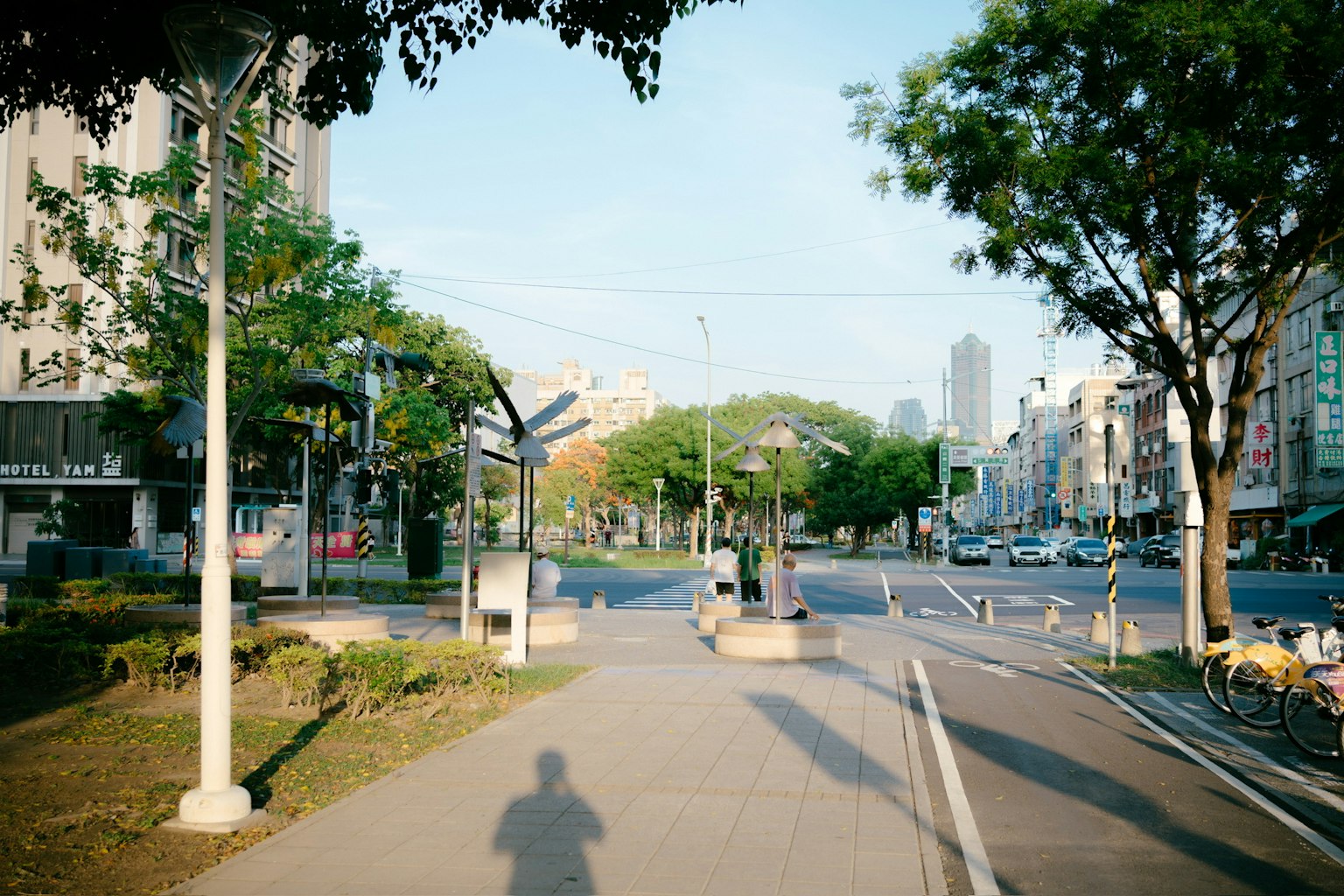 一条宁静的街道，两旁种满郁郁葱葱的树木和铺设的人行道