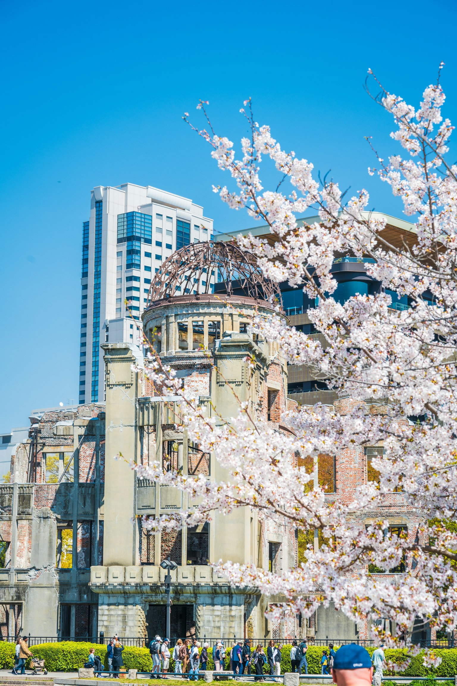 Historisches Gebäude mit Kirschblüten und modernen Wolkenkratzern