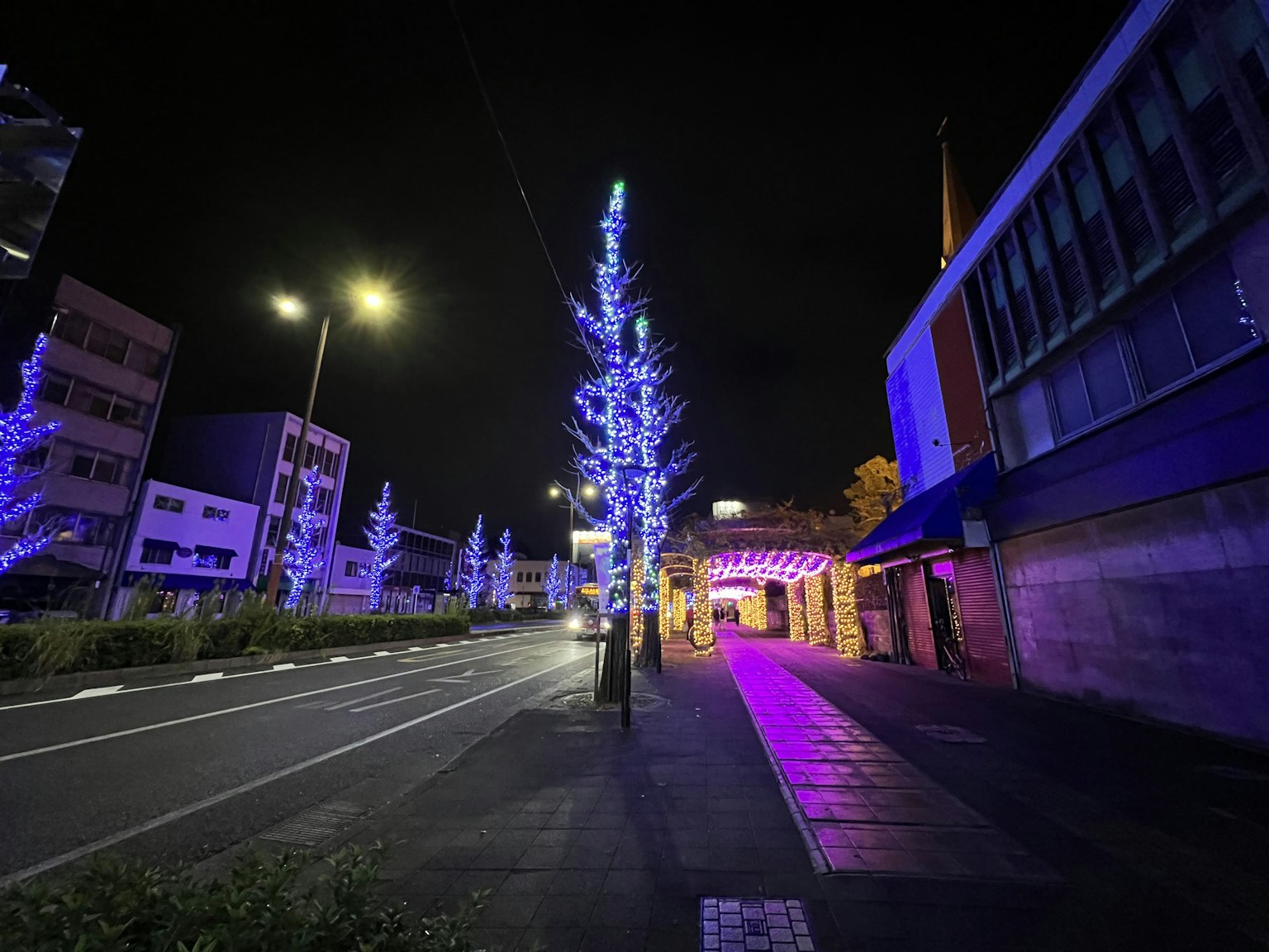 Night street scene with illuminated trees and streetlights in blue hues