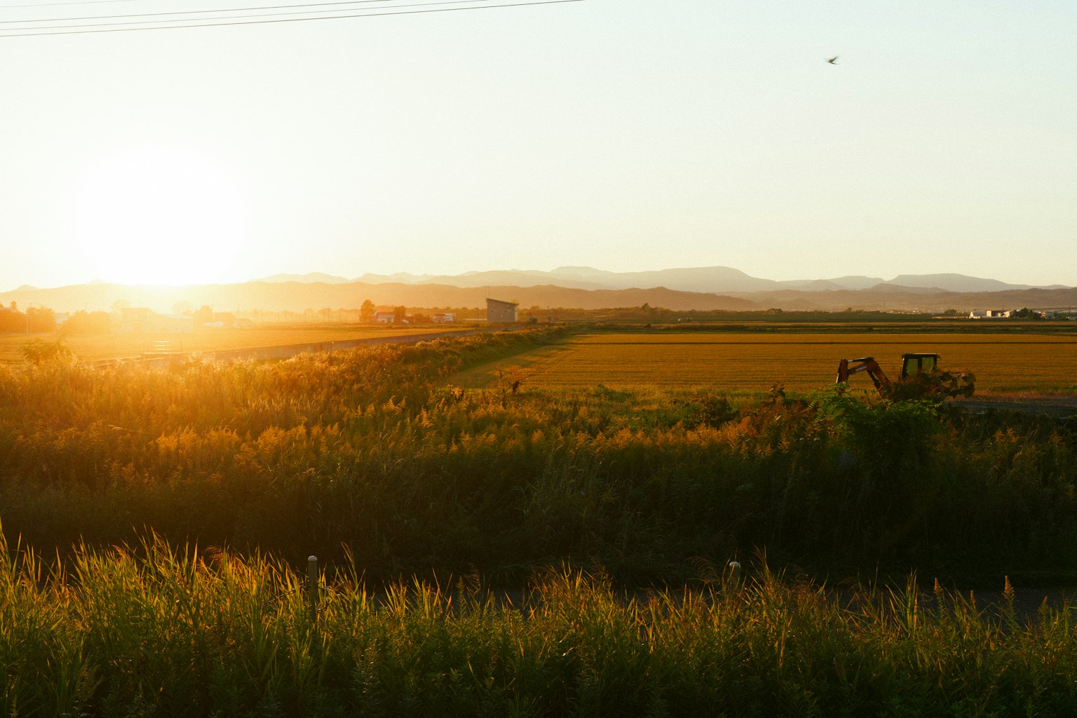 Tramonto dorato su un tranquillo paesaggio rurale con montagne lontane