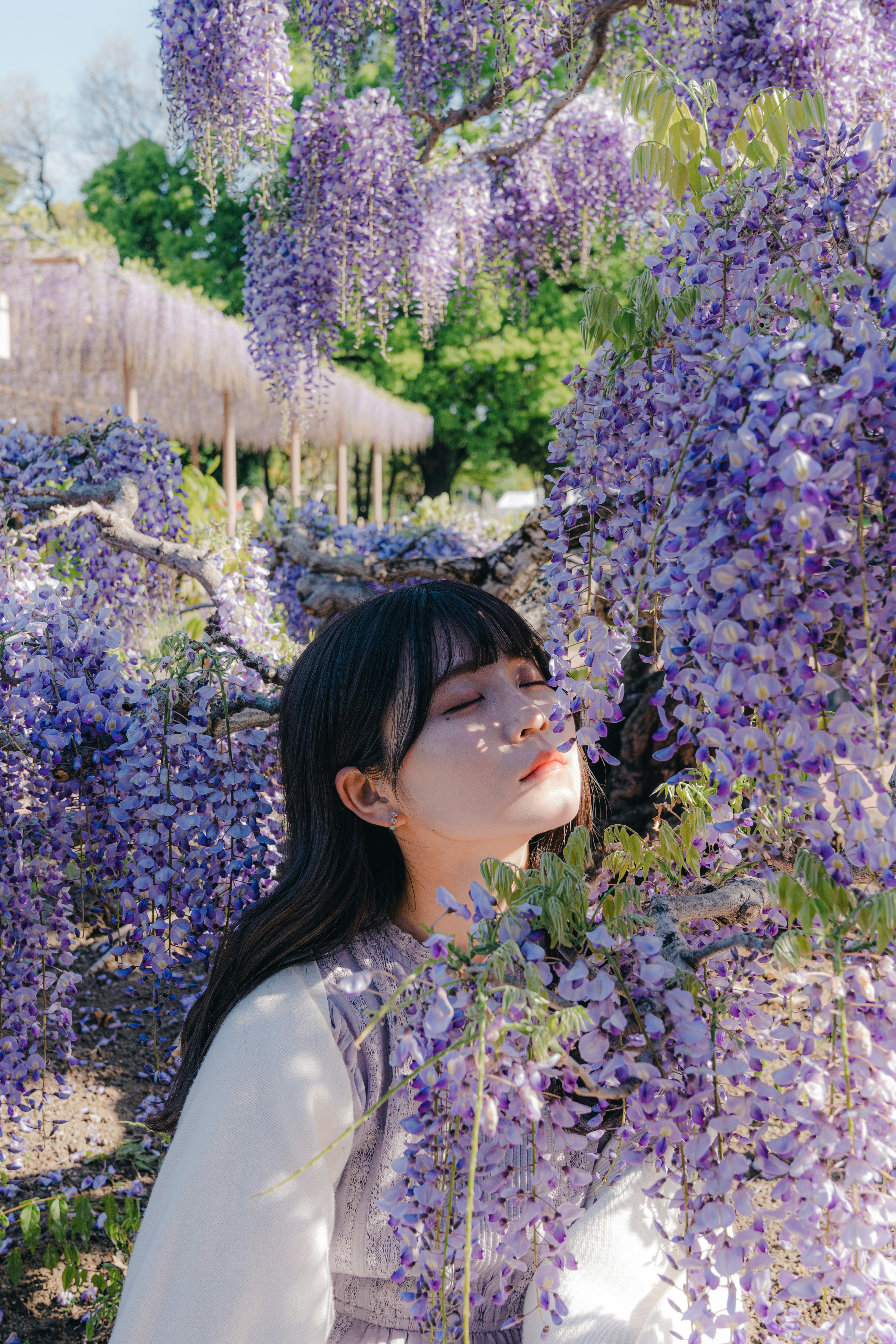紫の花に囲まれた女性の横顔