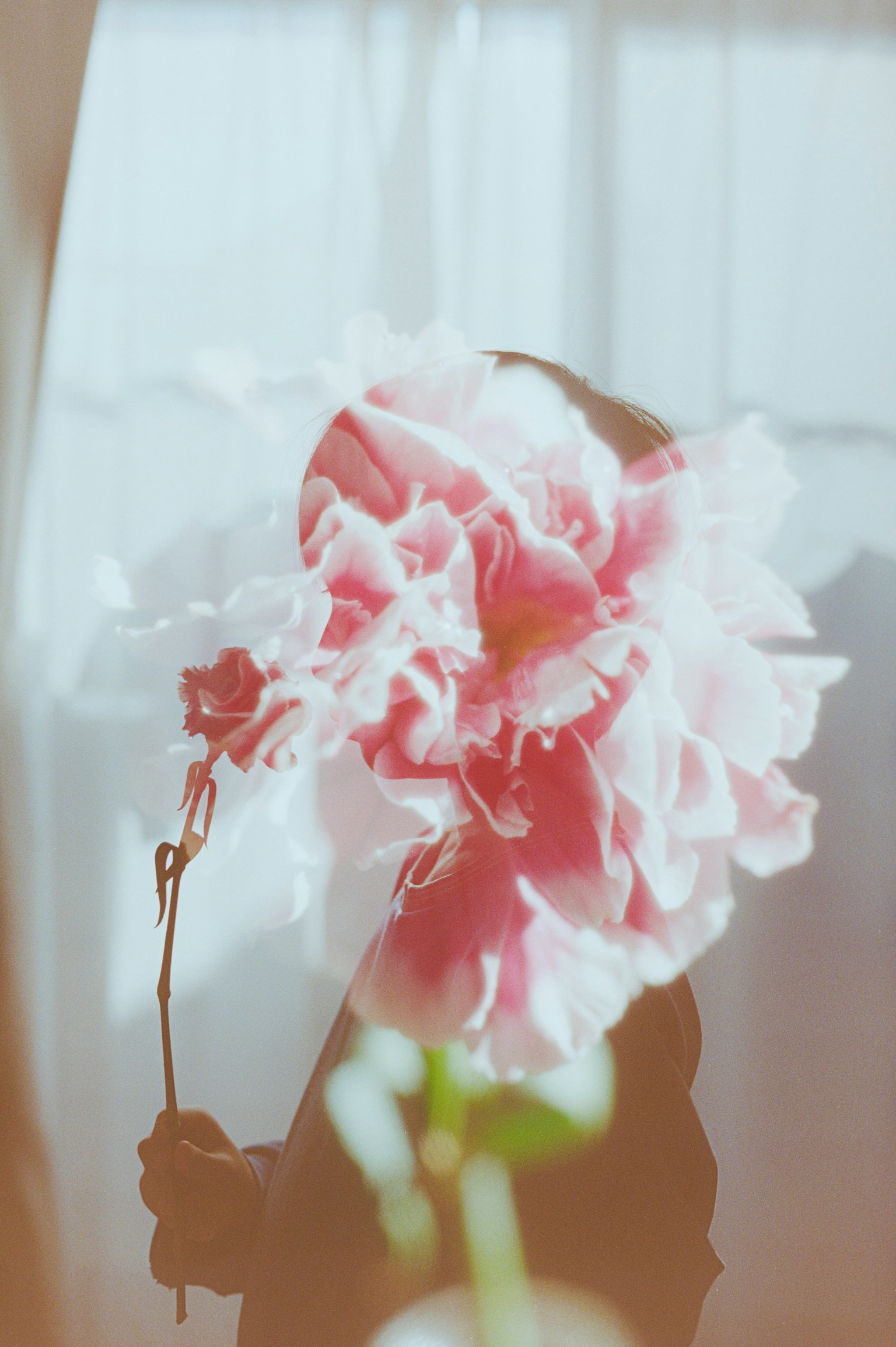 拿着柔和粉色花朵的人影