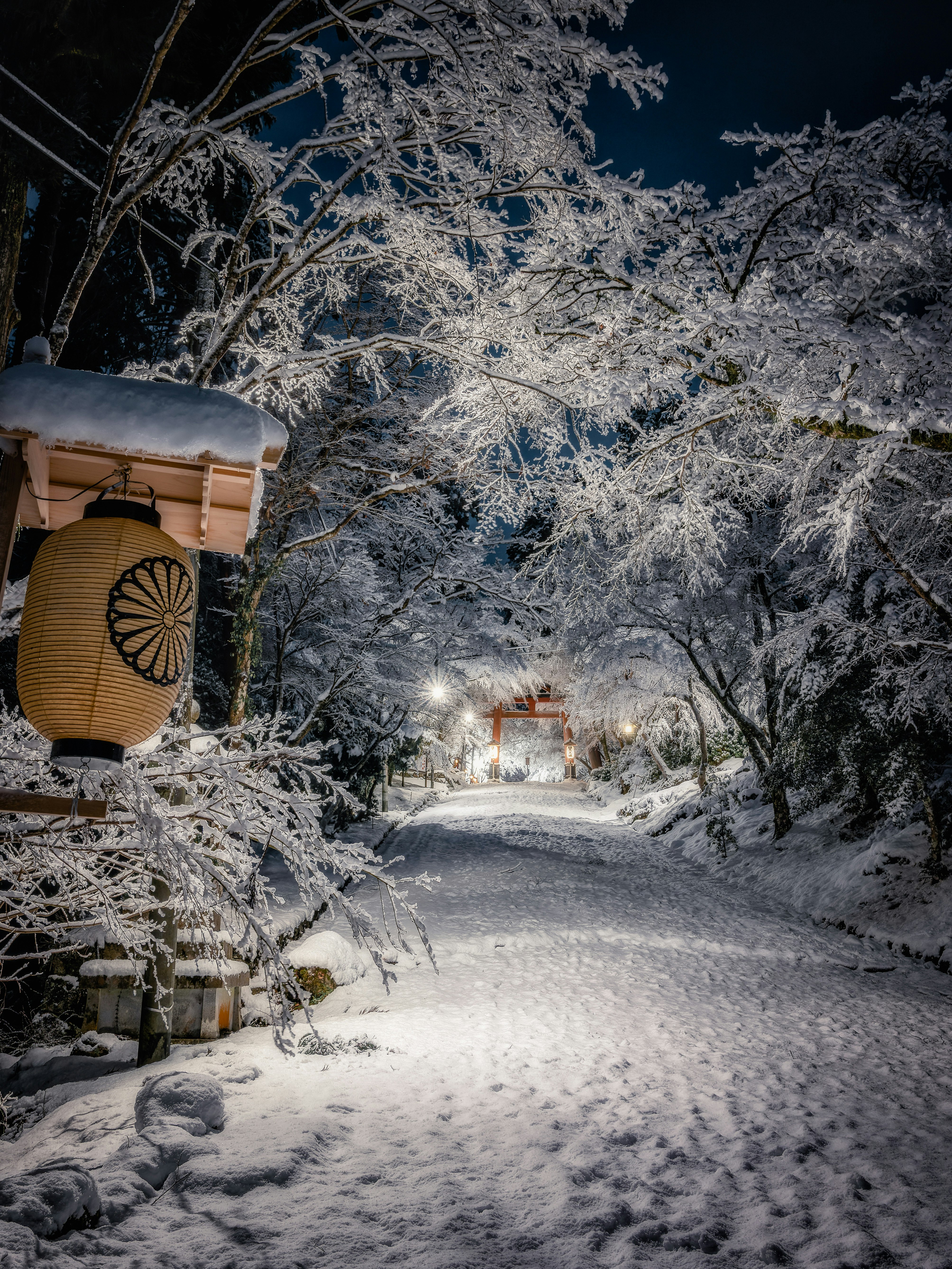 allée du sanctuaire Hiyoshi Taisha avec lanternes et pavés sous la neige en hiver