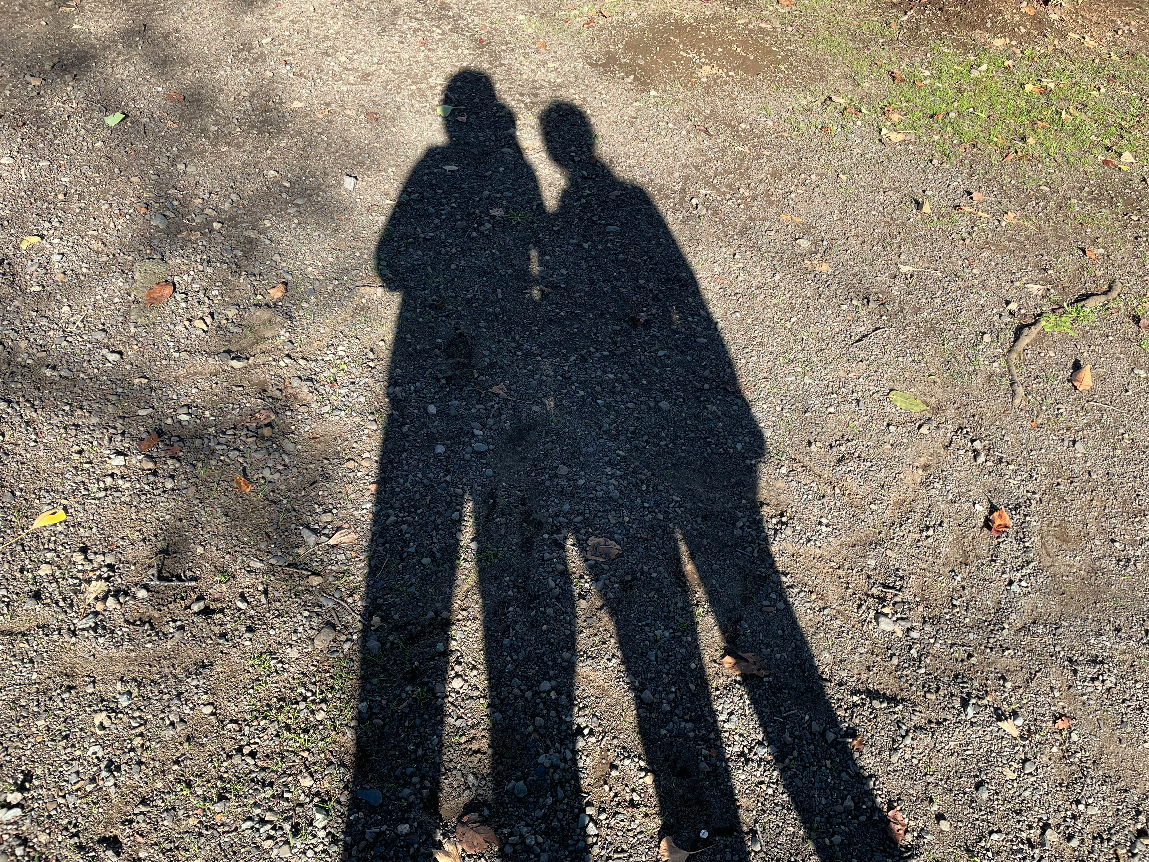 a couple’s shadows on the ground
