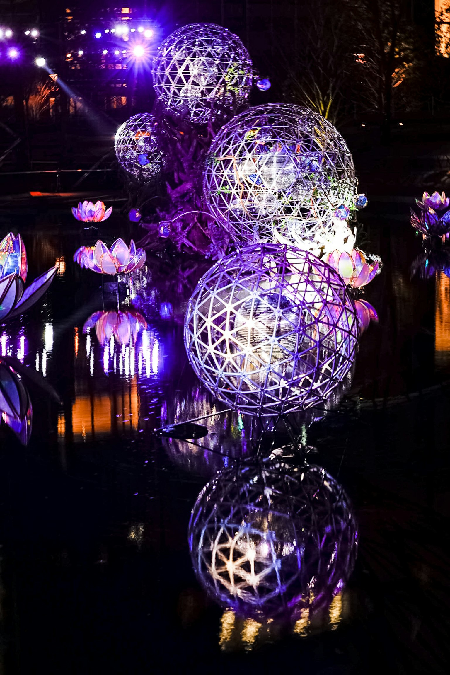 Esculturas esféricas iluminadas reflejándose en el agua con flores de loto