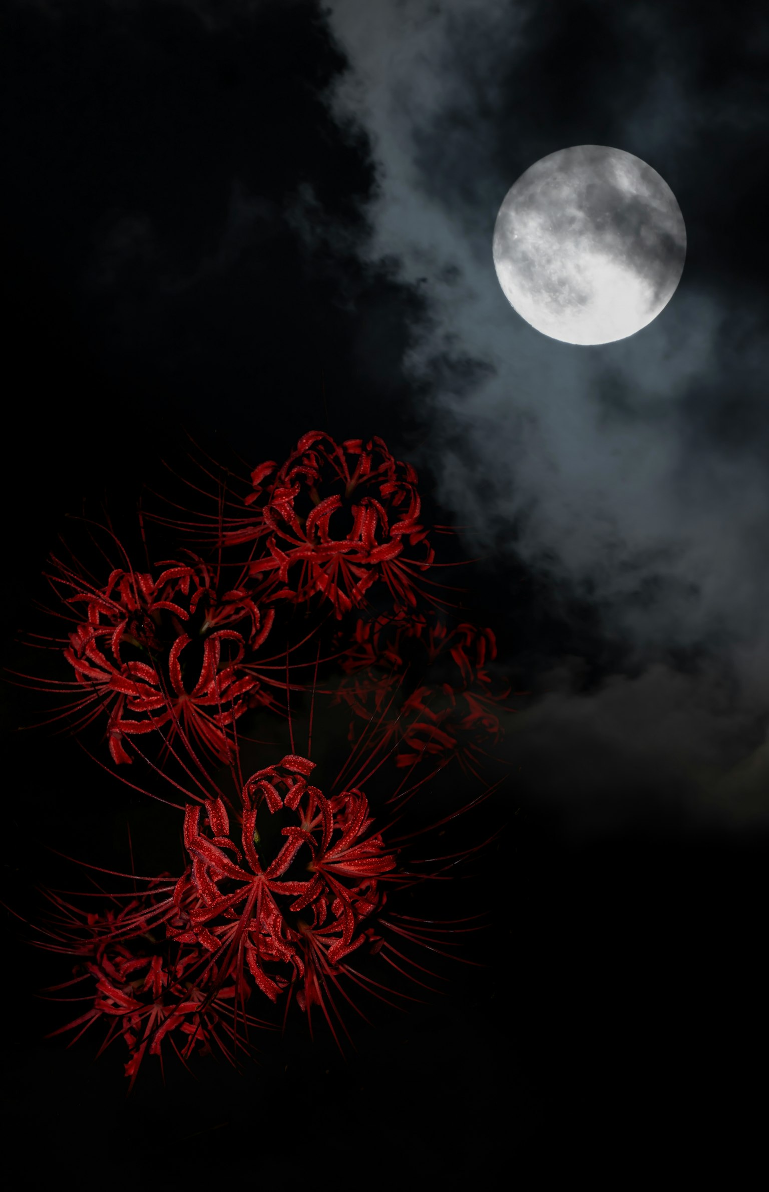 Une scène mystique avec une pleine lune entourée de nuages sombres et des fleurs rouges au premier plan