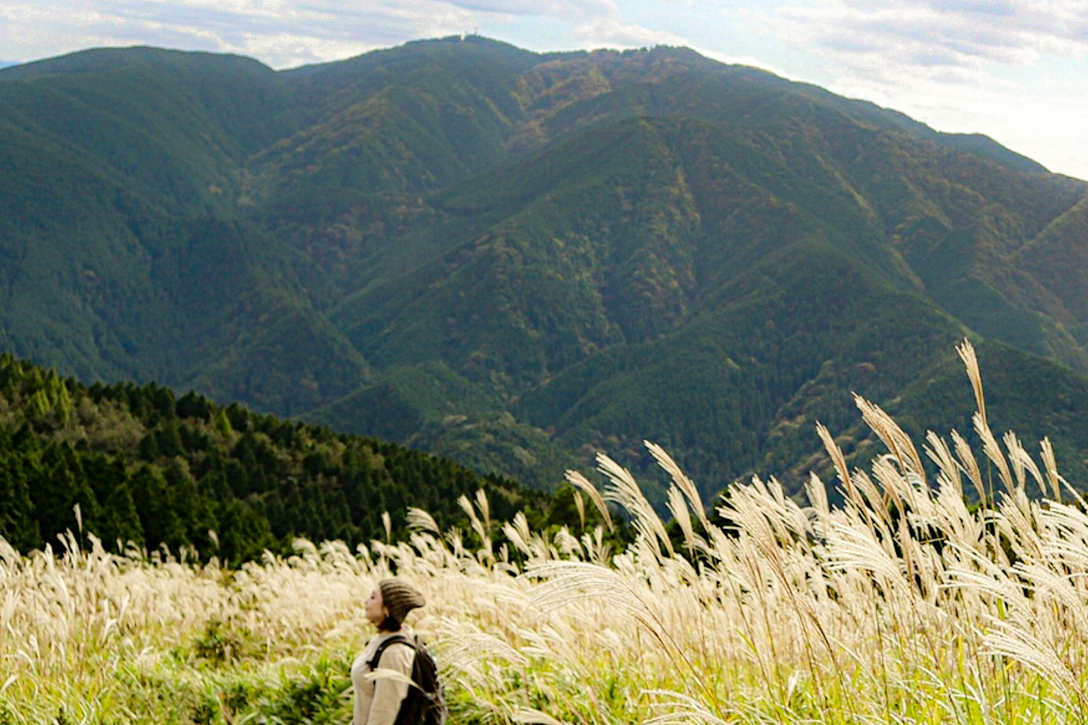 Person standing in a field of grass with mountains in the background