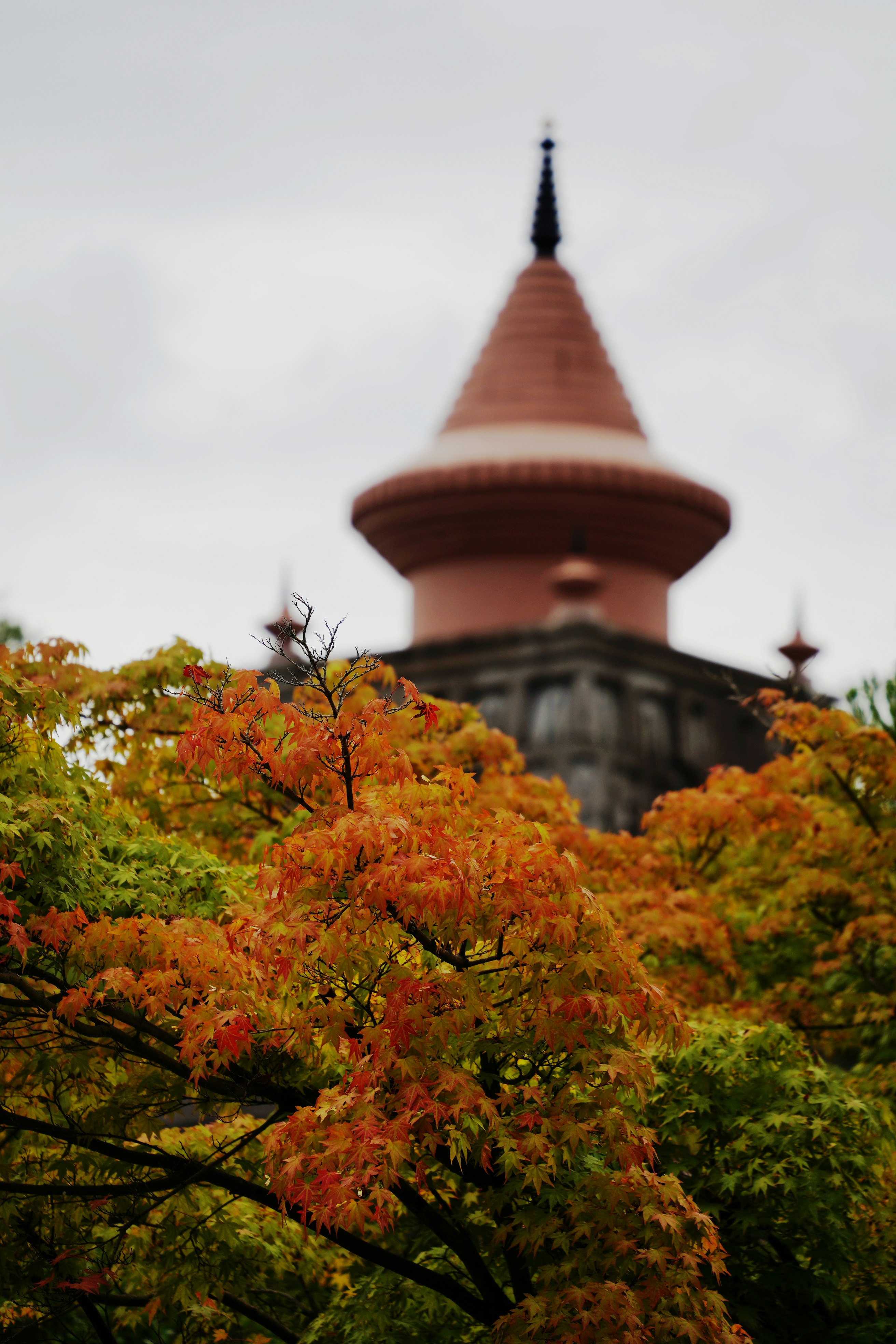 妙満寺の紅葉と多層の塔のある寺院風景