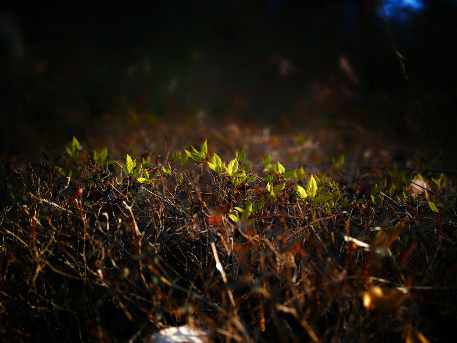 photo-cVmMsI8dd3bkf0KHiiSc-image