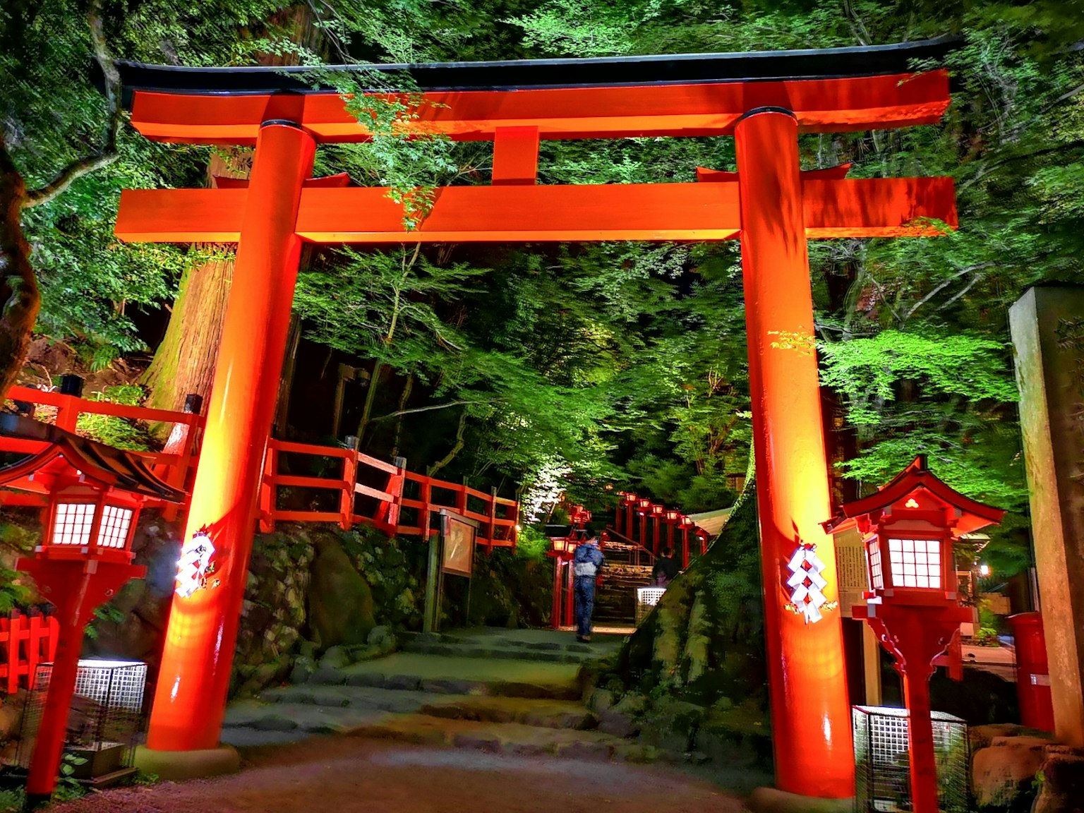 Puerta torii roja iluminada y faroles a lo largo de un camino forestal