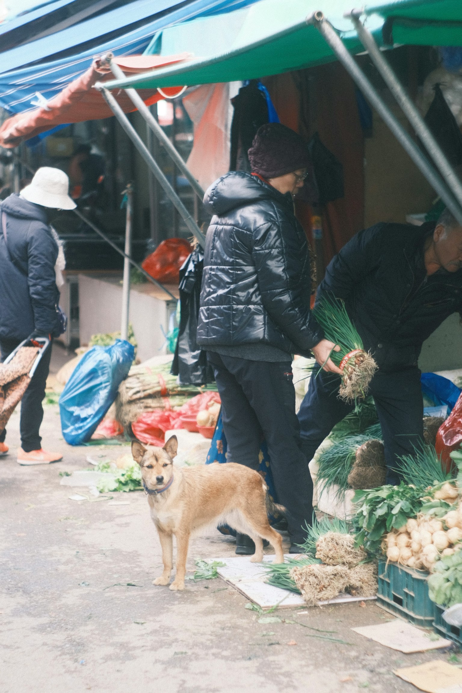 Cảnh người đang xử lý rau tại chợ với một con chó