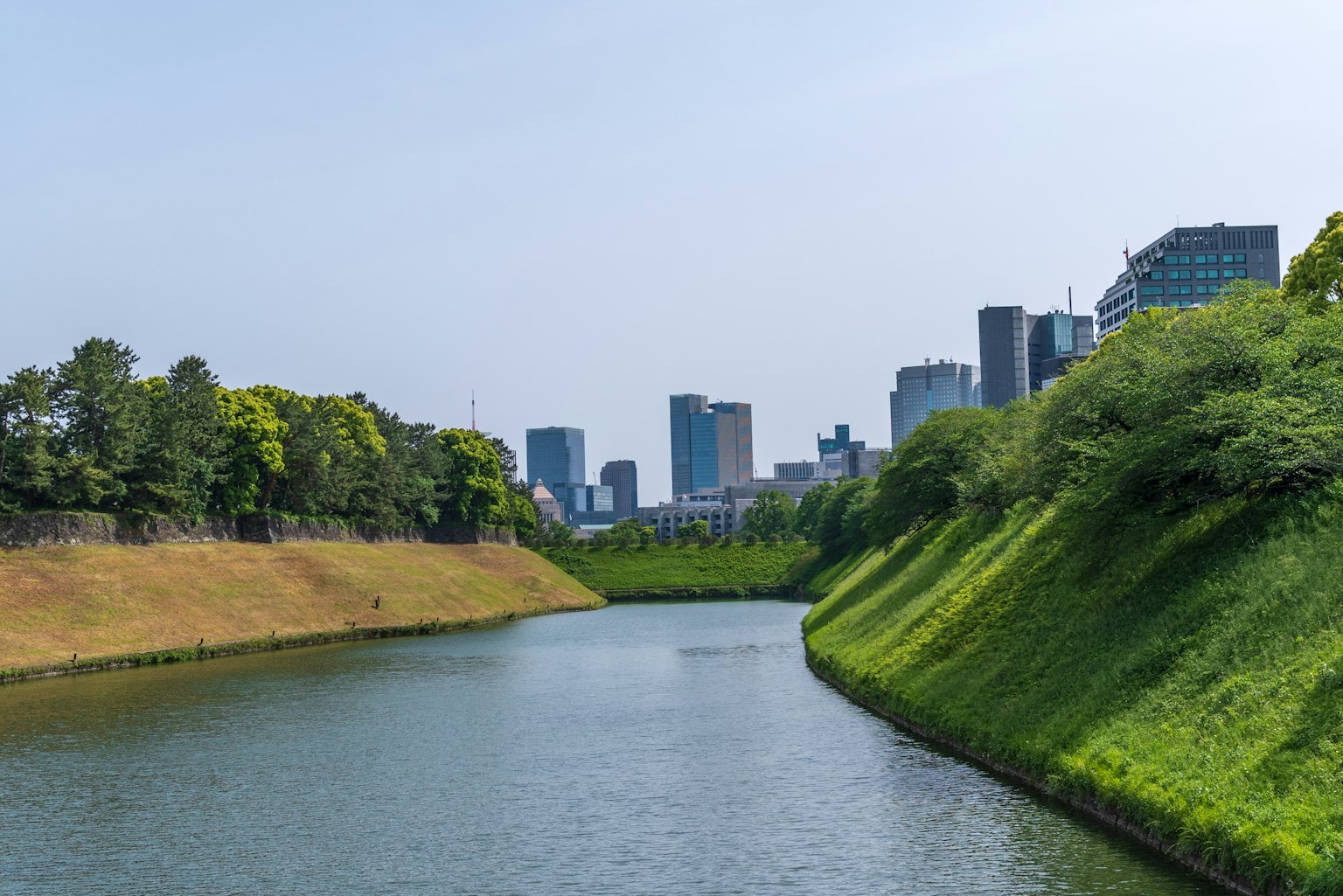 Vista panoramica di un fiume circondato da verde e grattacieli moderni