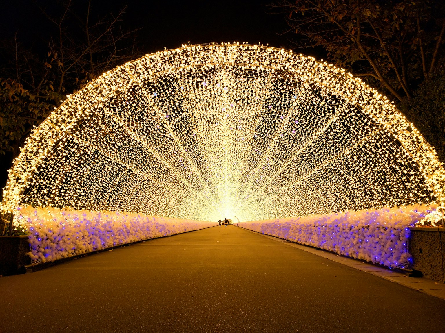 Belle vue d'une arche lumineuse la nuit