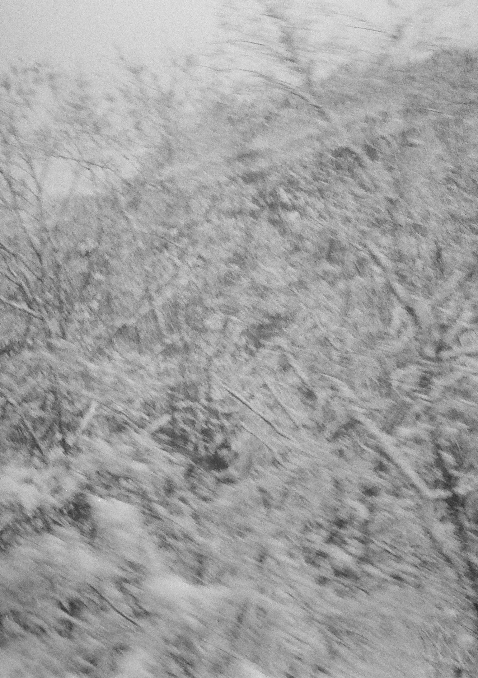 模糊的雪覆盖树木和风景的图像