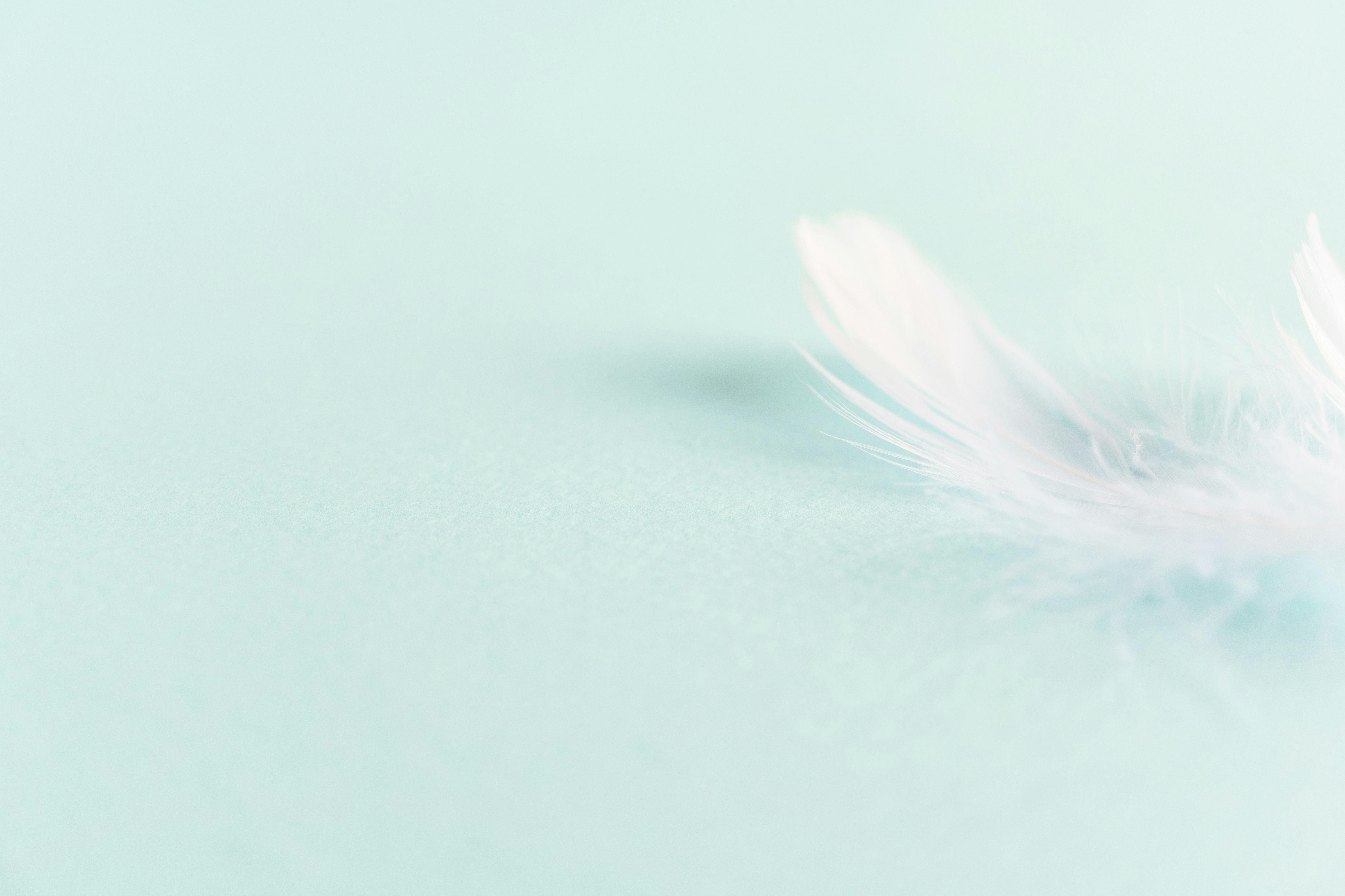 abstract white mist-like light blur