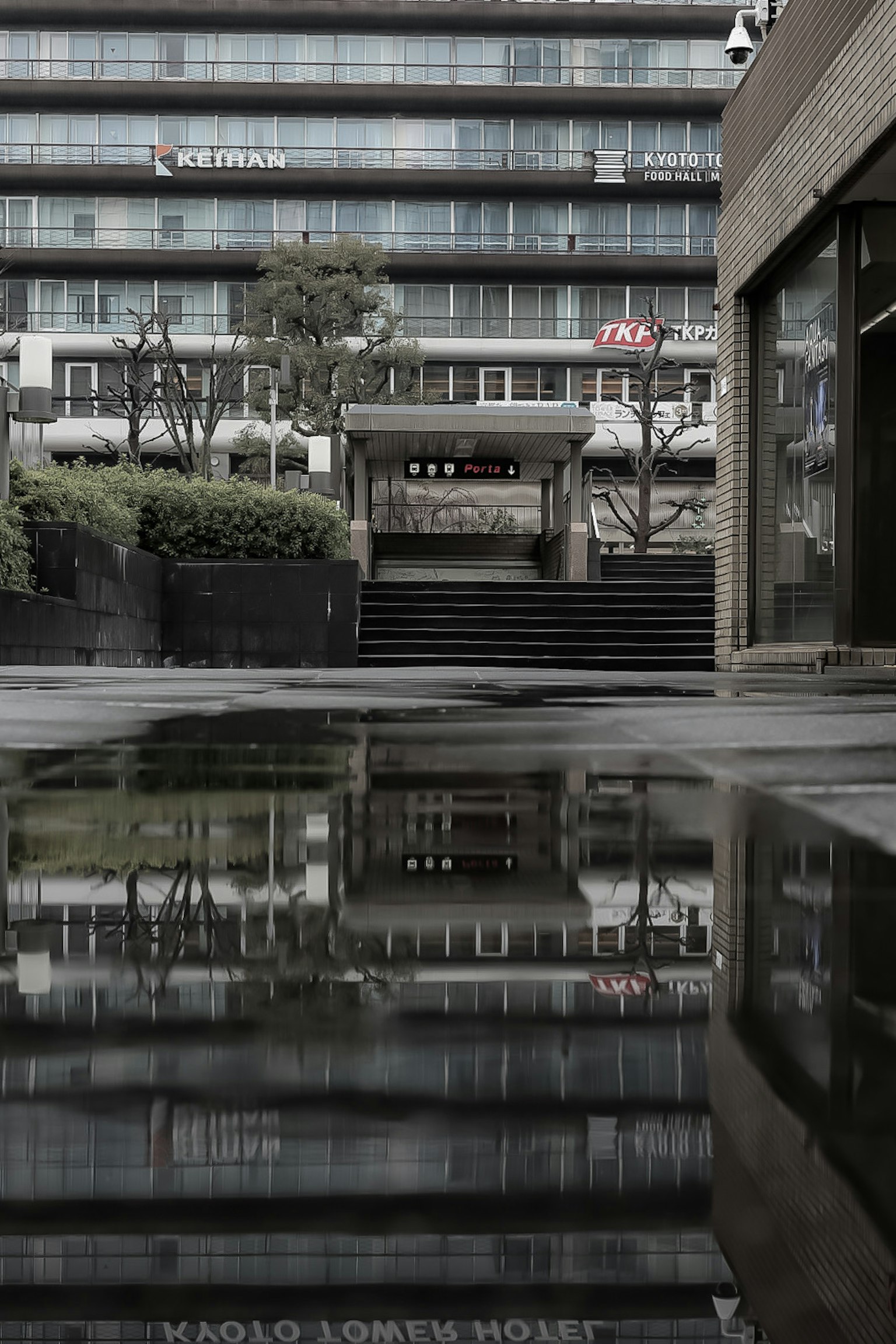 Refleksi bangunan modern dengan tangga dan tanaman hijau di genangan air