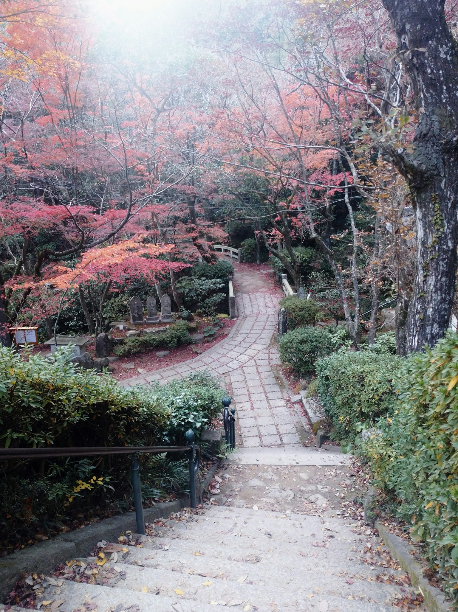 Winding path surrounded by vibrant autumn foliage and trees