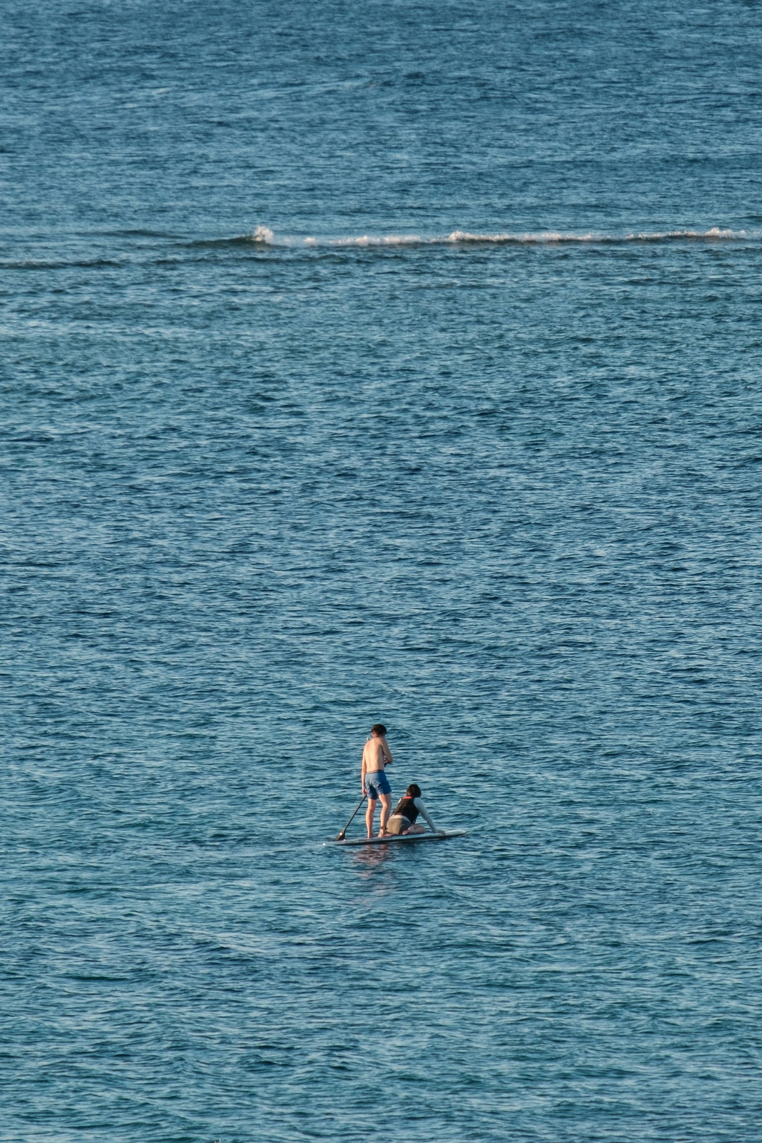 Silhouette di un bambino in piedi nell'acqua con un cane