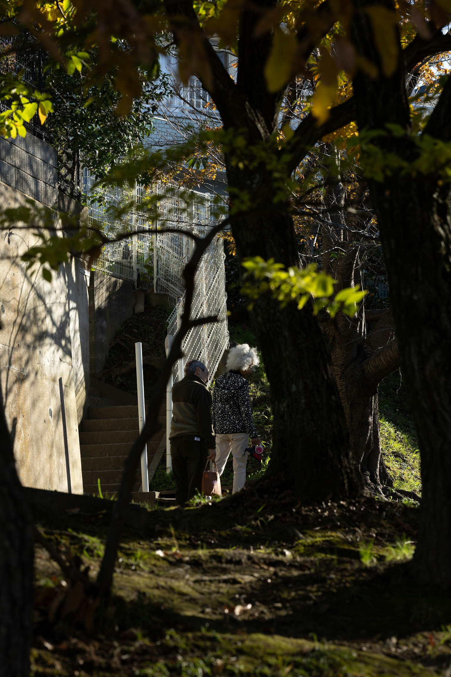 나무 사이를 걷는 두 사람과 가을 풍경