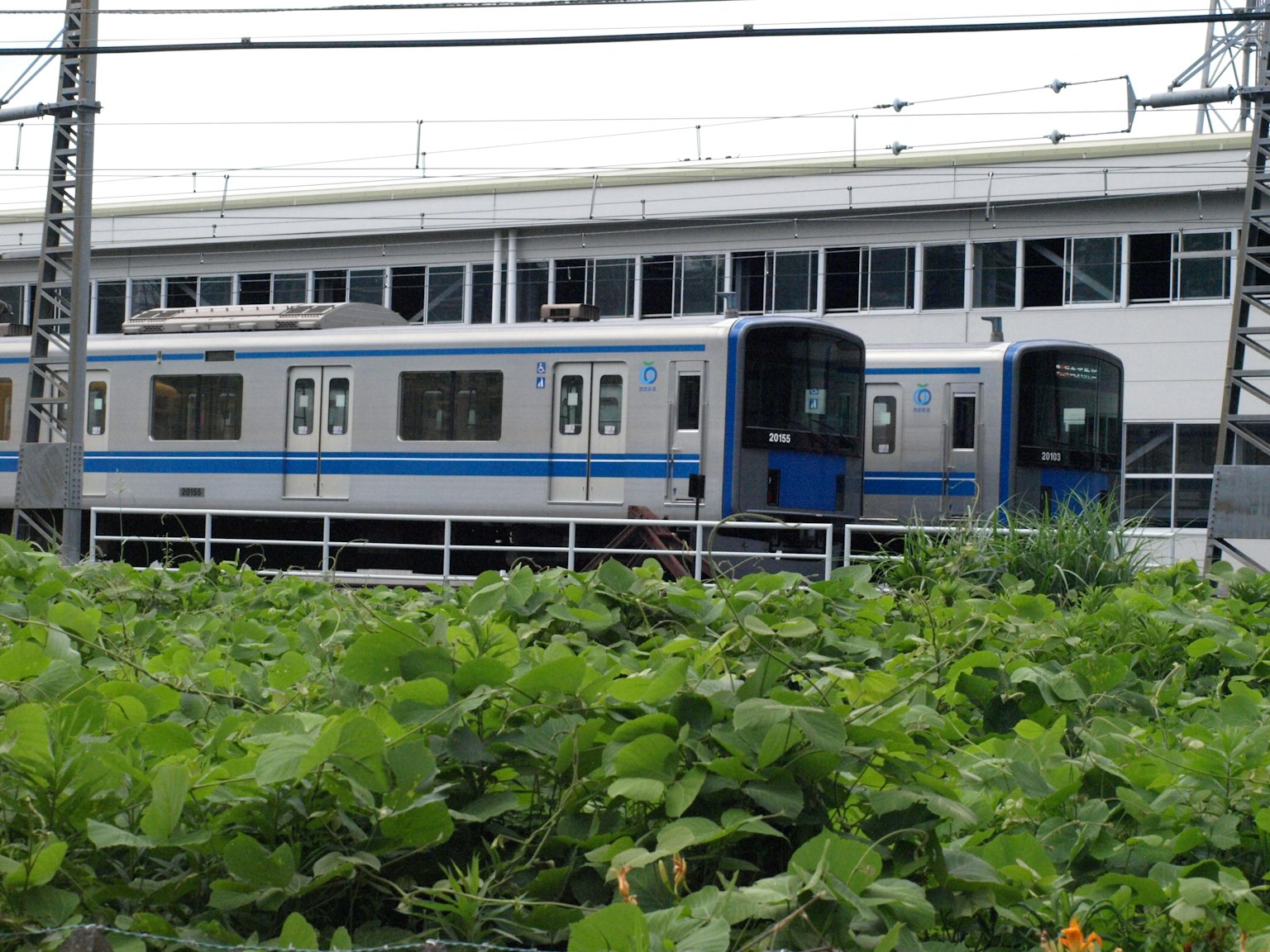 Kereta biru di depan tanaman hijau dengan bangunan di latar belakang