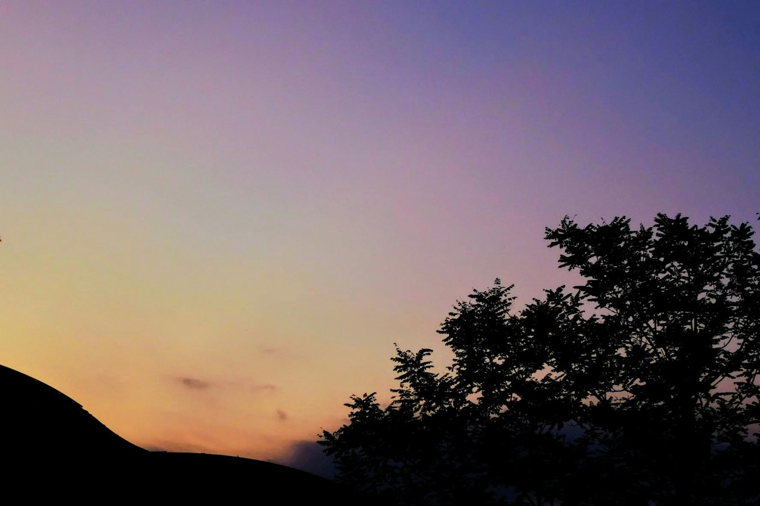 夕焼けの空とシルエットの木の画像