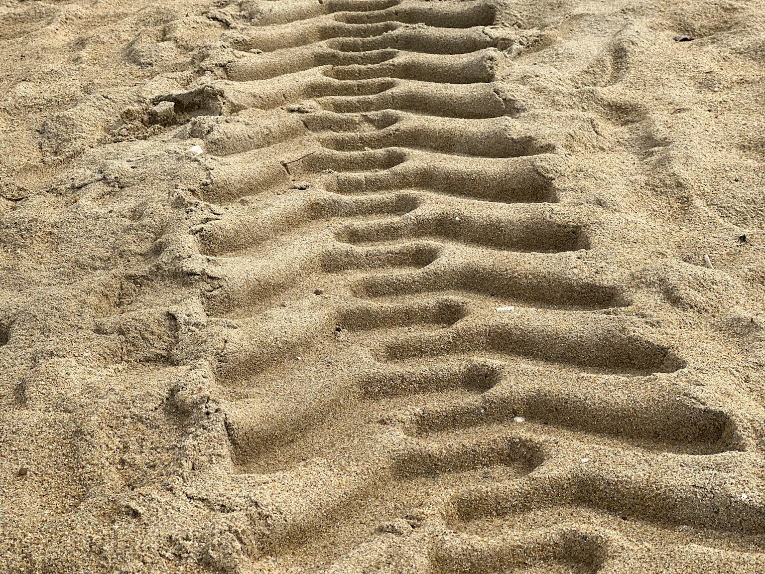 Tire tracks imprinted on sandy beach creating a patterned texture