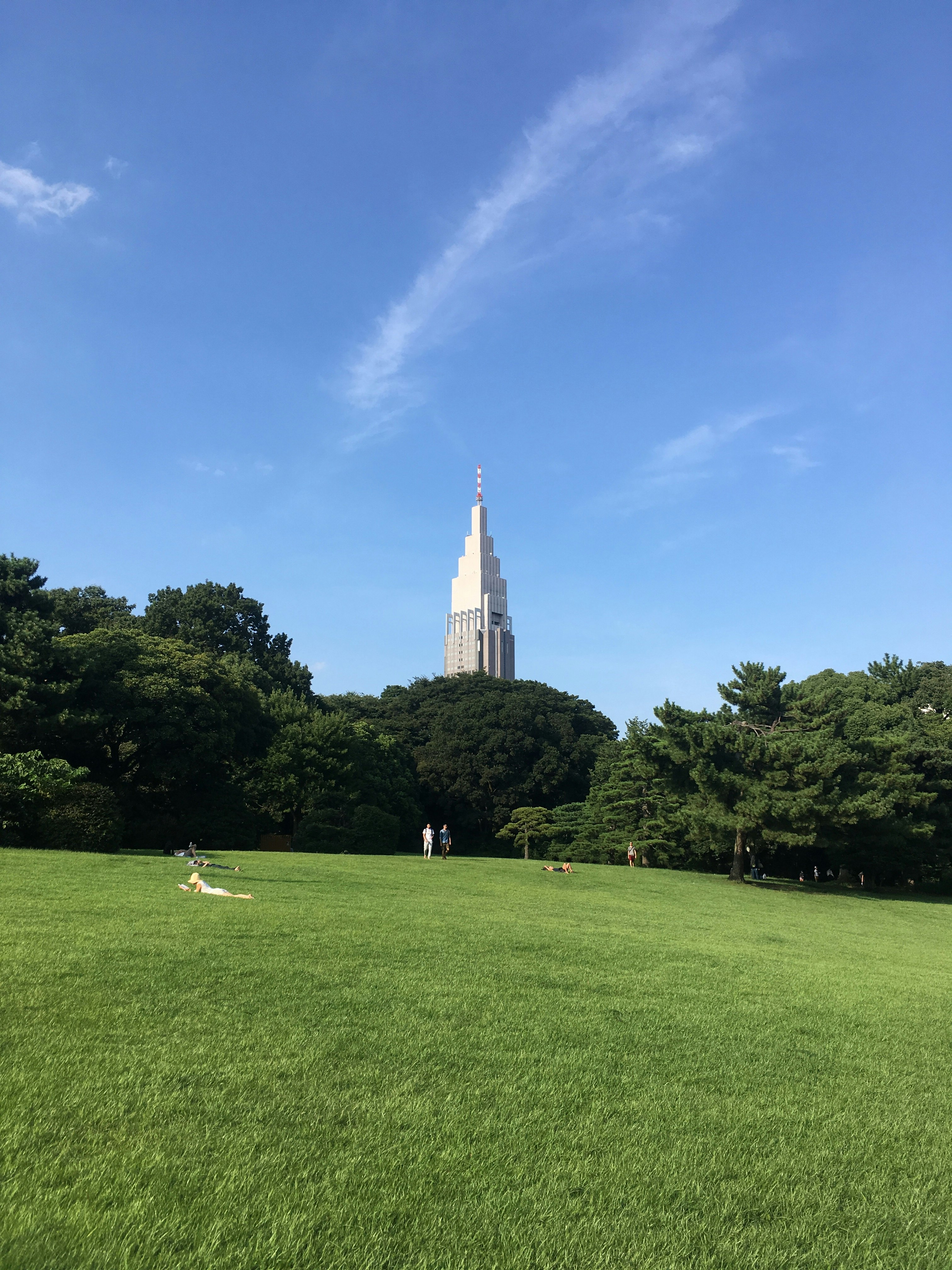 芝生の広場と高い塔が見える公園の風景