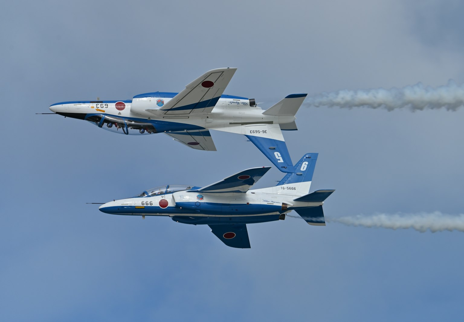 Deux avions bleus et blancs volant en formation dans le ciel