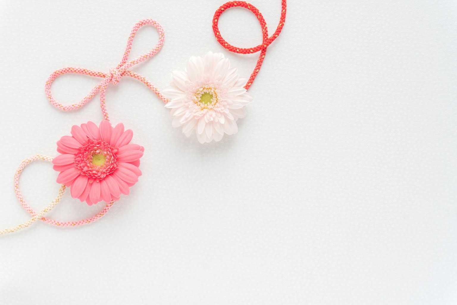 Flores rosas y blancas dispuestas sobre un fondo blanco unidas con hilos coloridos